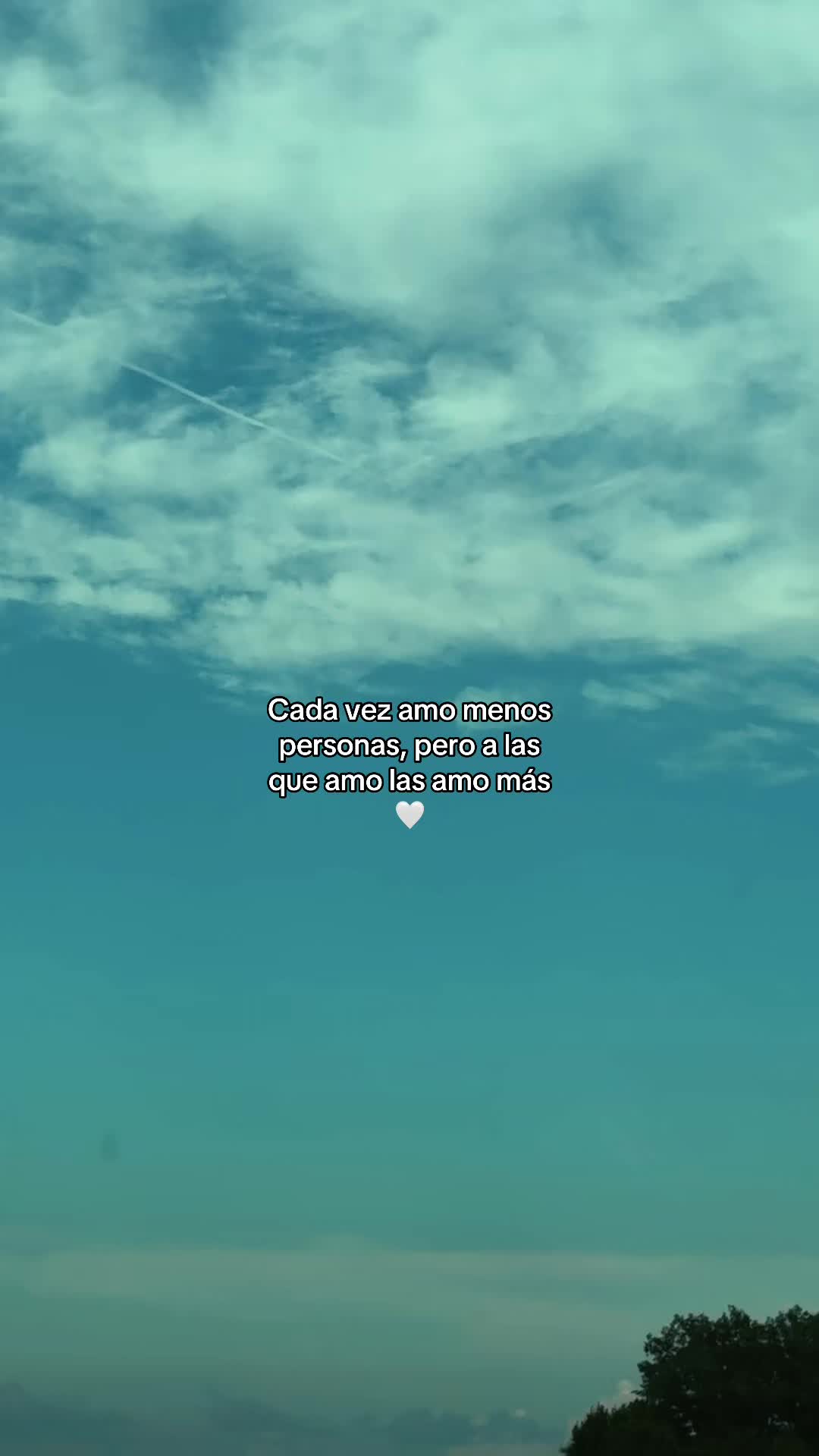 @hadadeletras