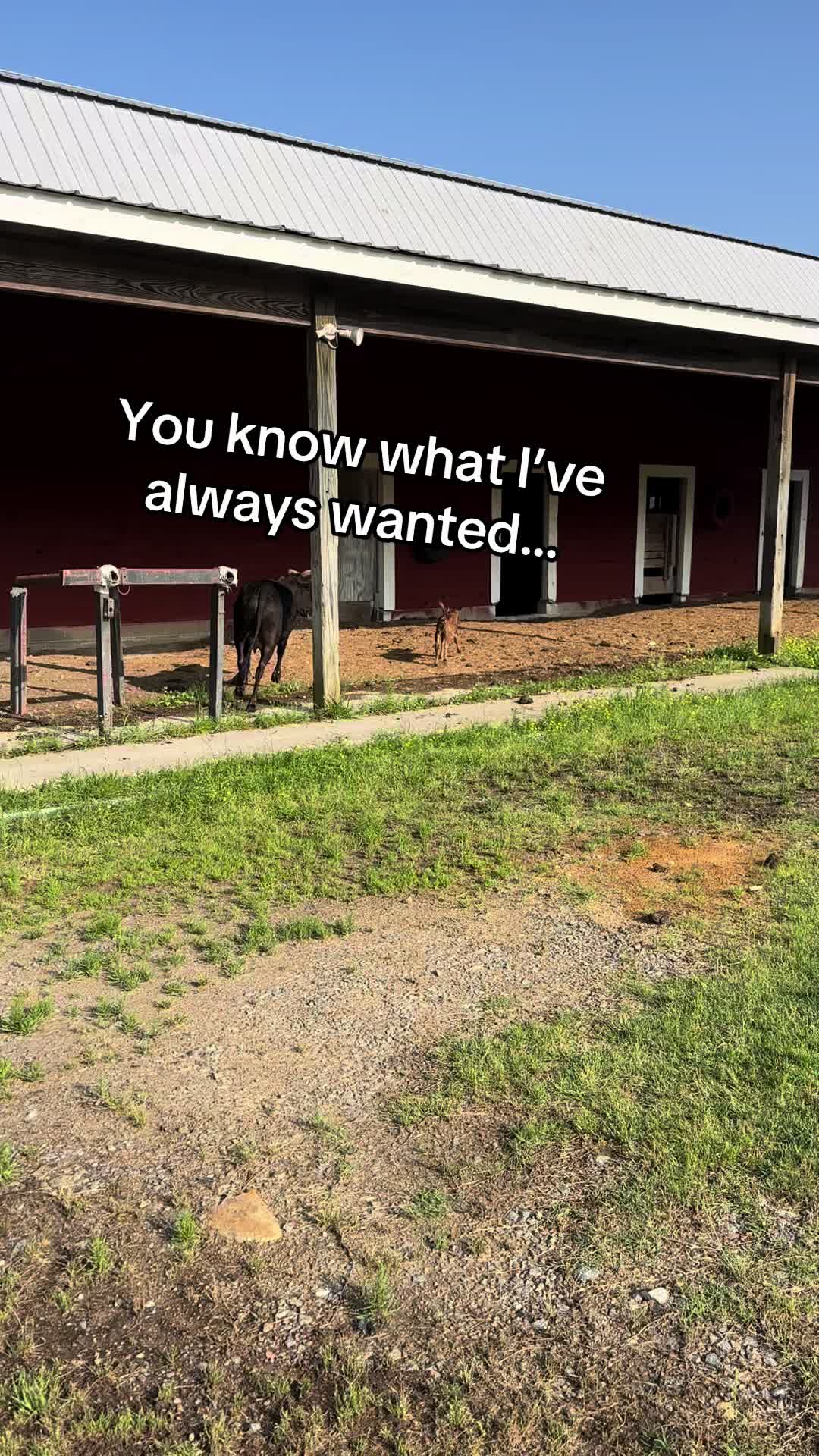@Bambi