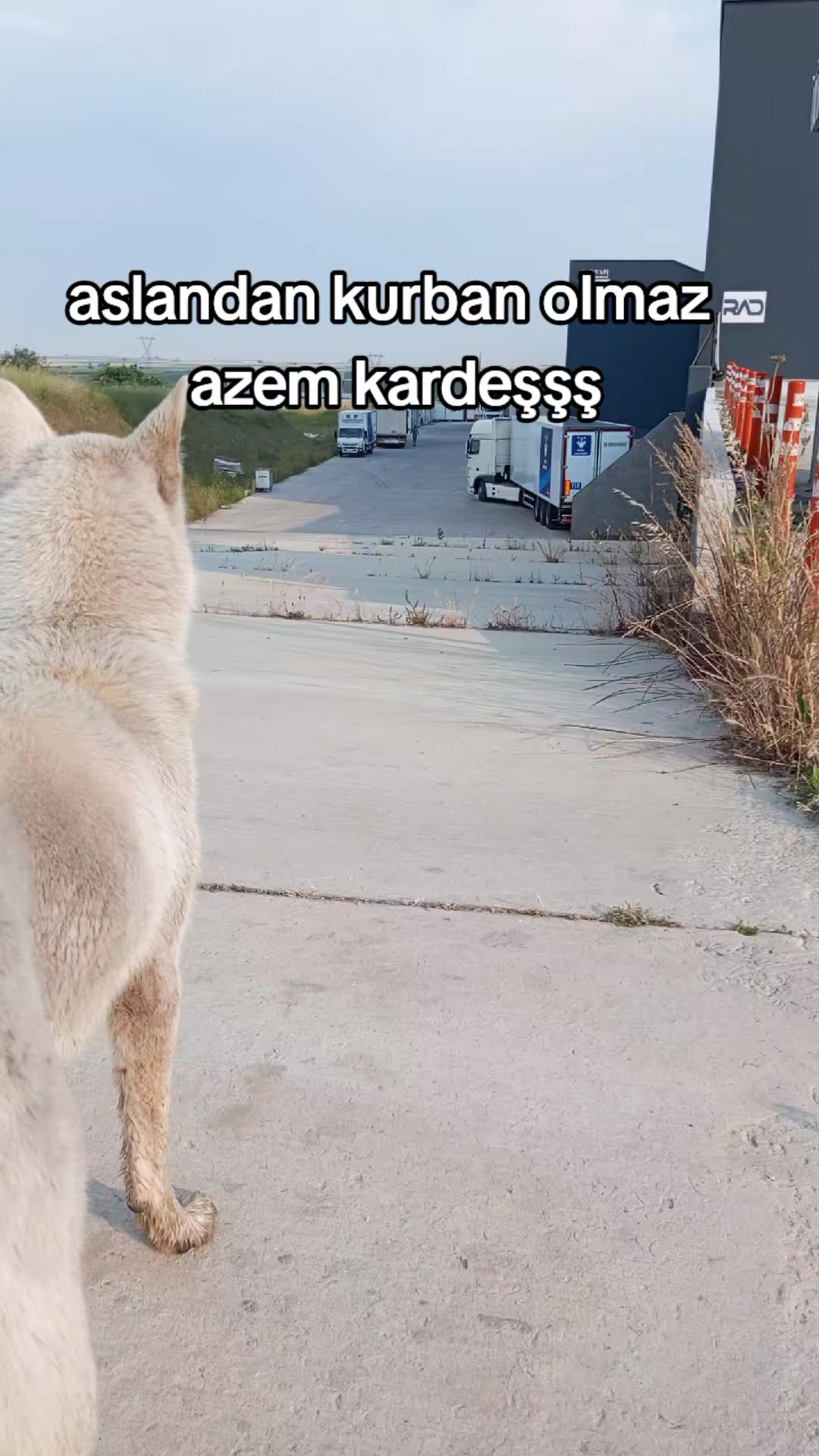 @38 Kayserili 38