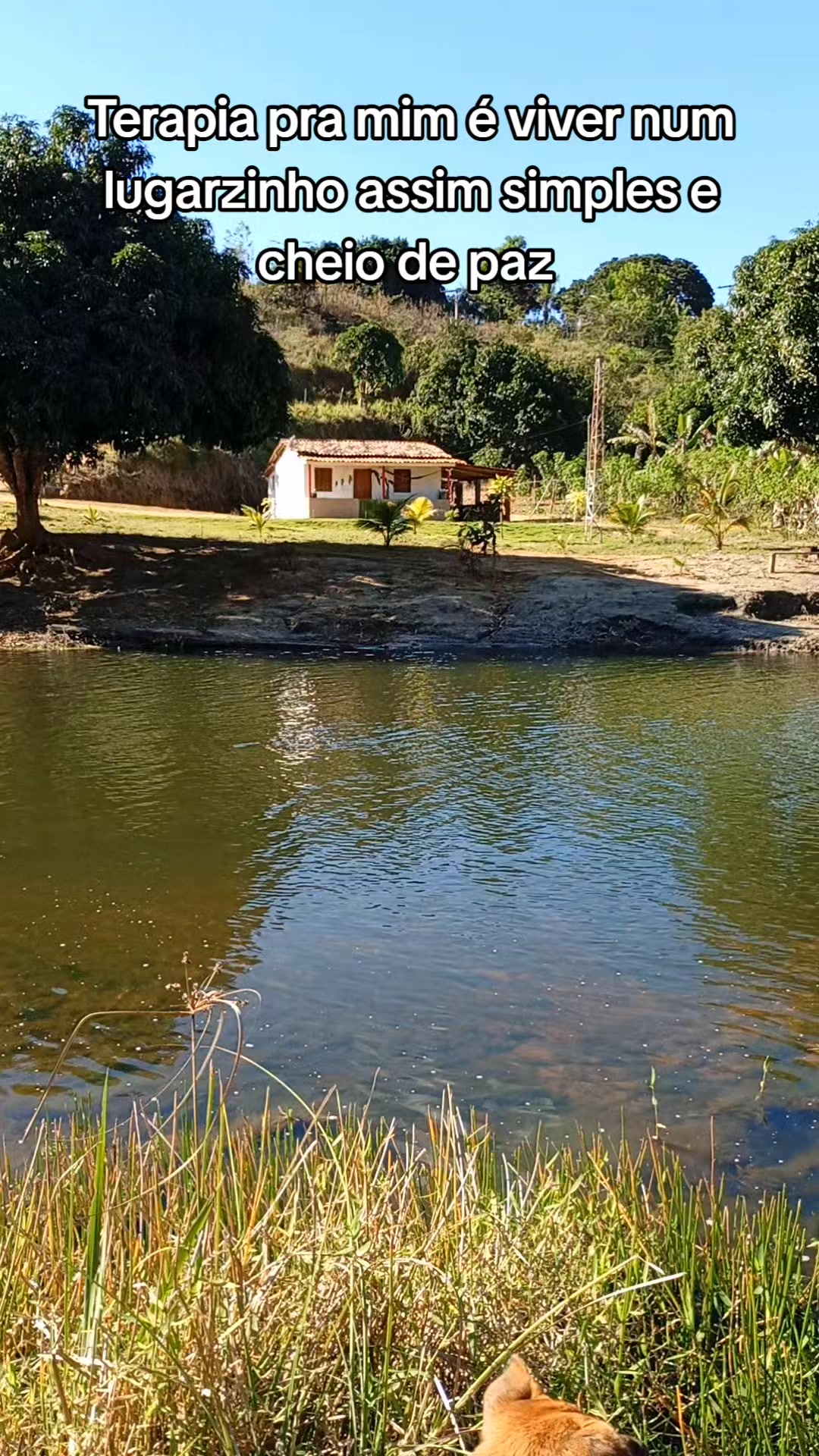 @Roça 🤠🌱