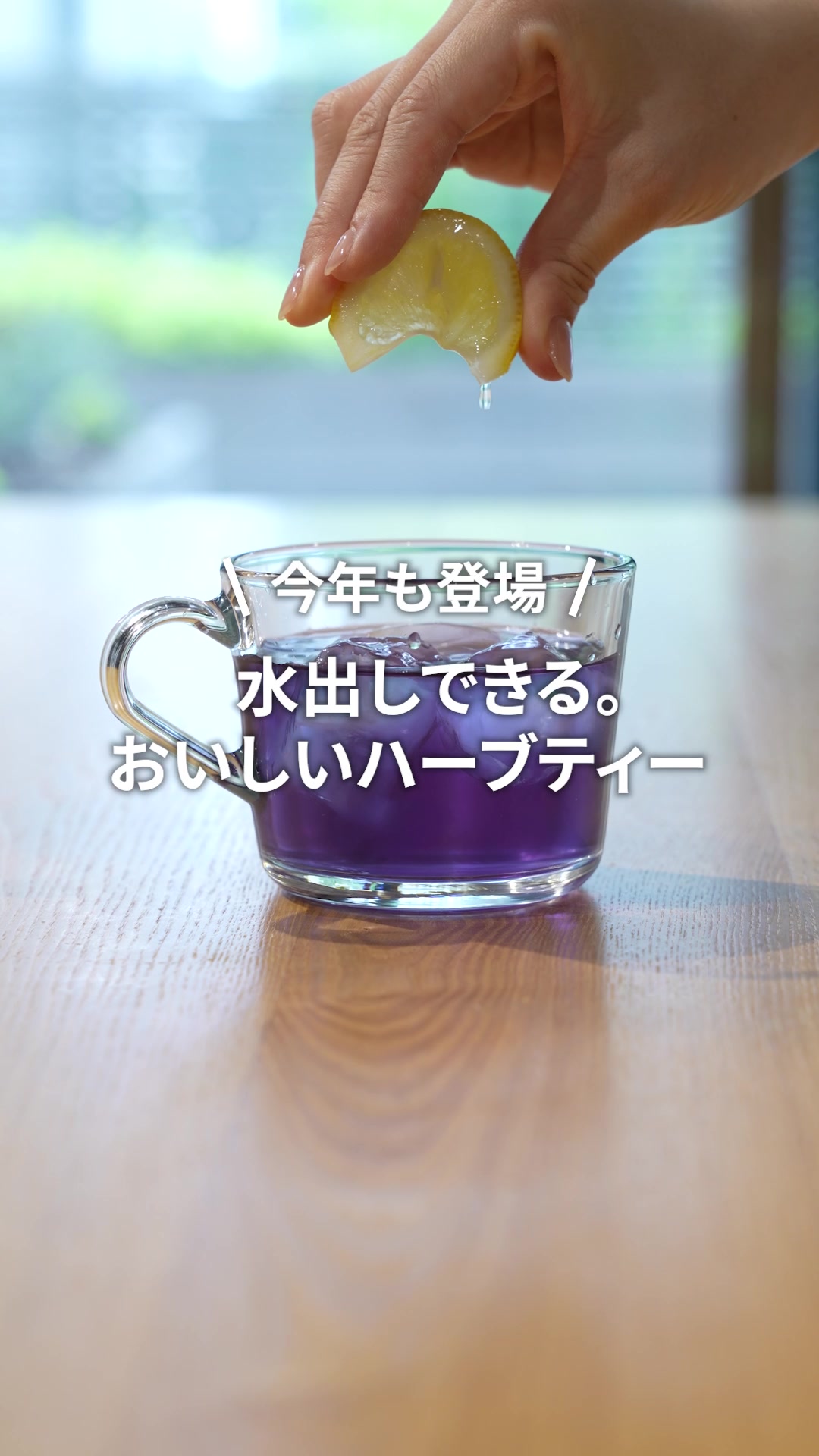 @生活の木【公式】