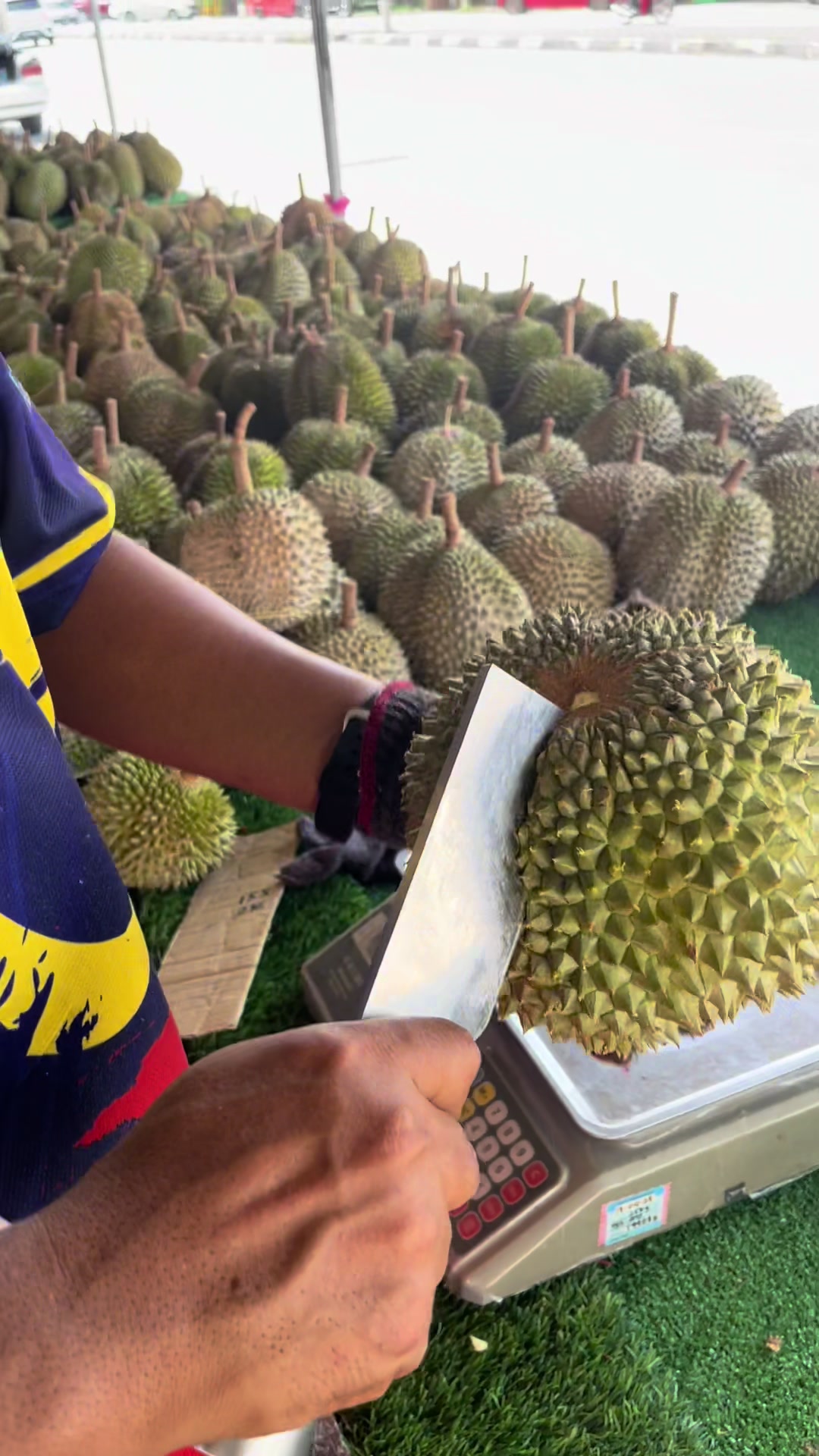 @Durian Batu 6