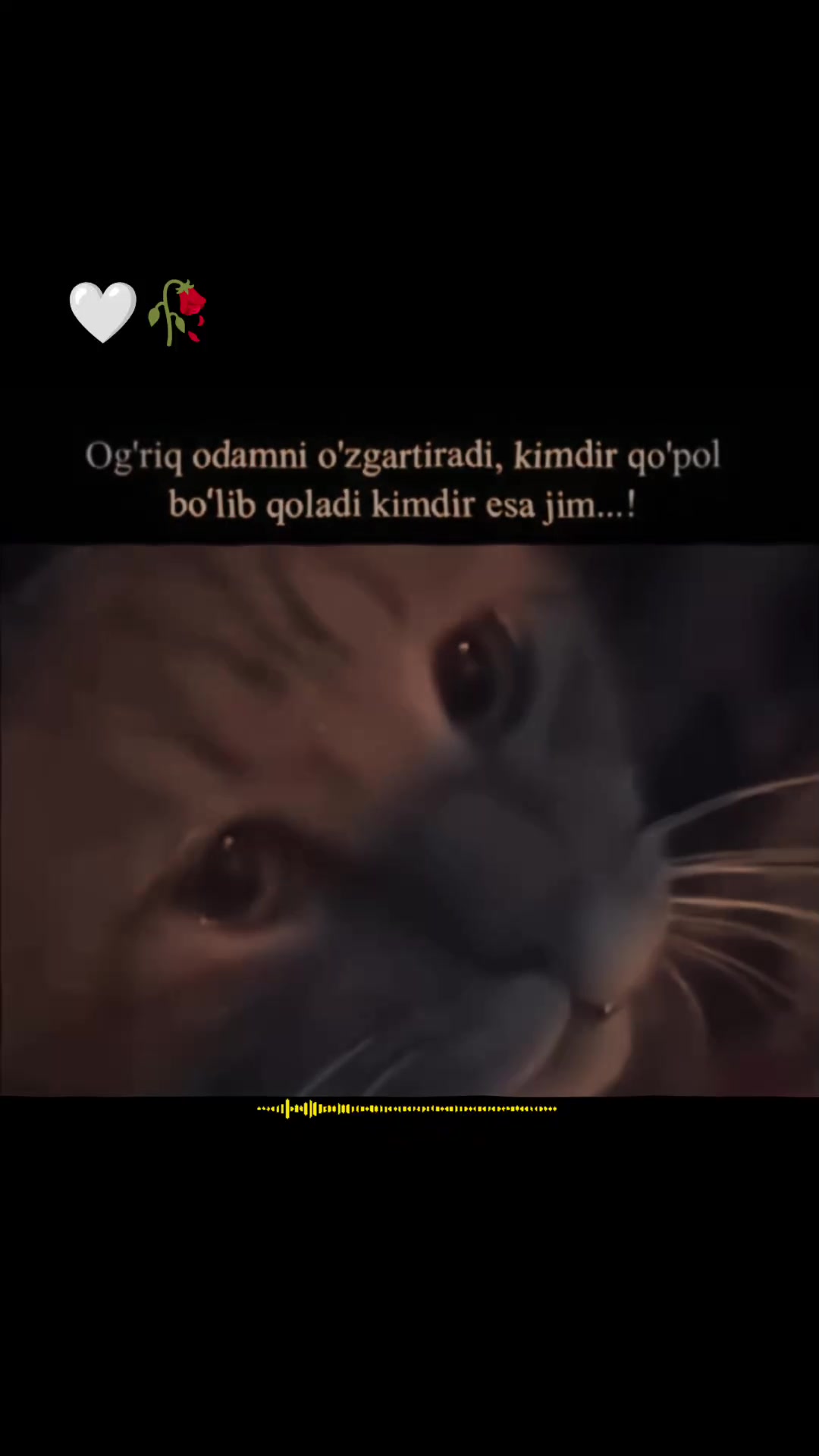@🥹Seviinç🥹