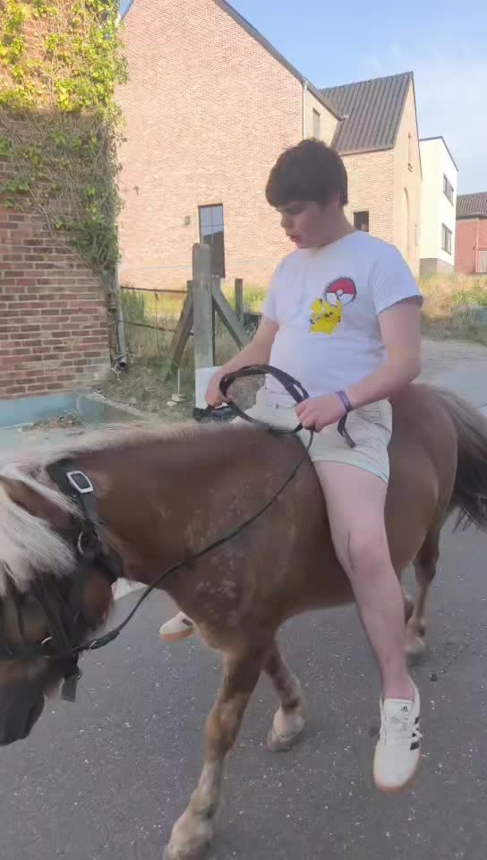 @paarden&hond