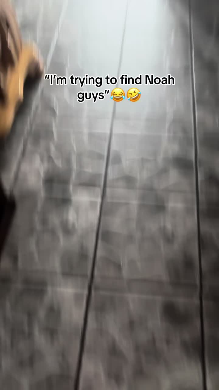 @miss_shamlin_jafthas 