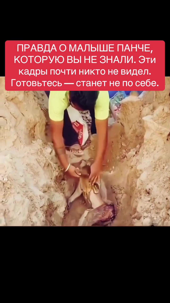 @shoblinskis