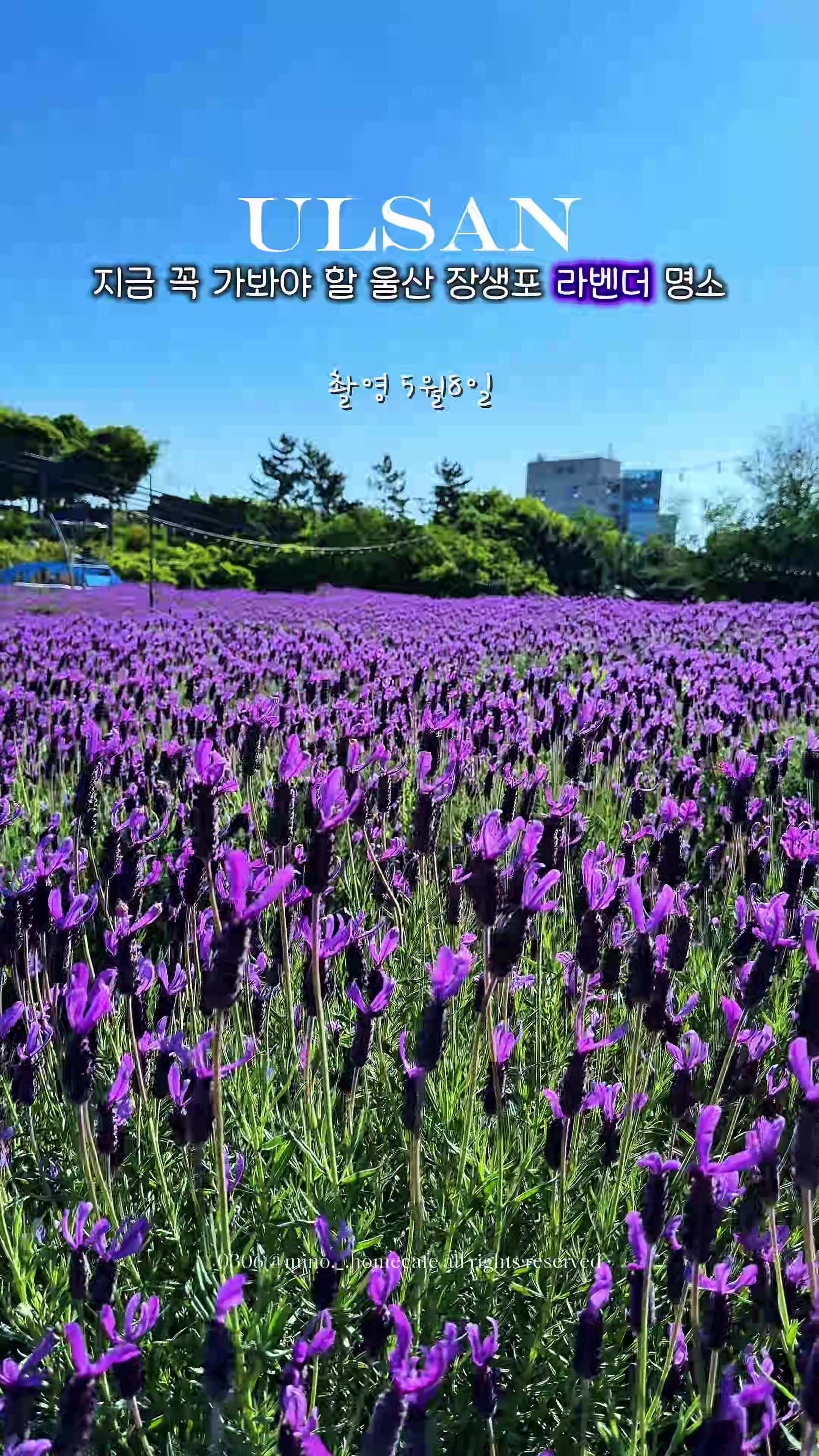 @mino36 미노36