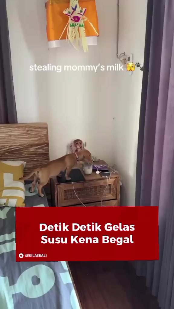 @Sekilas Bali