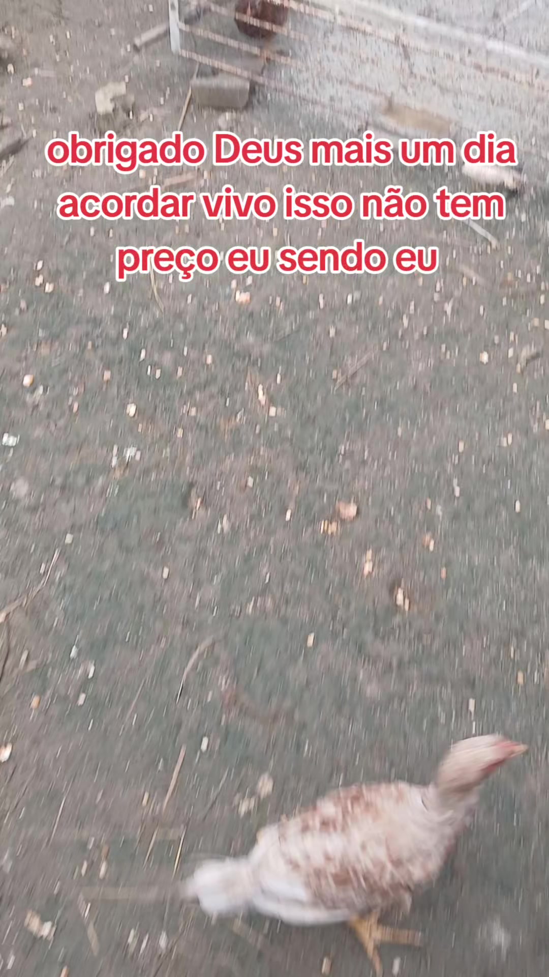 @ELIZEU Batista