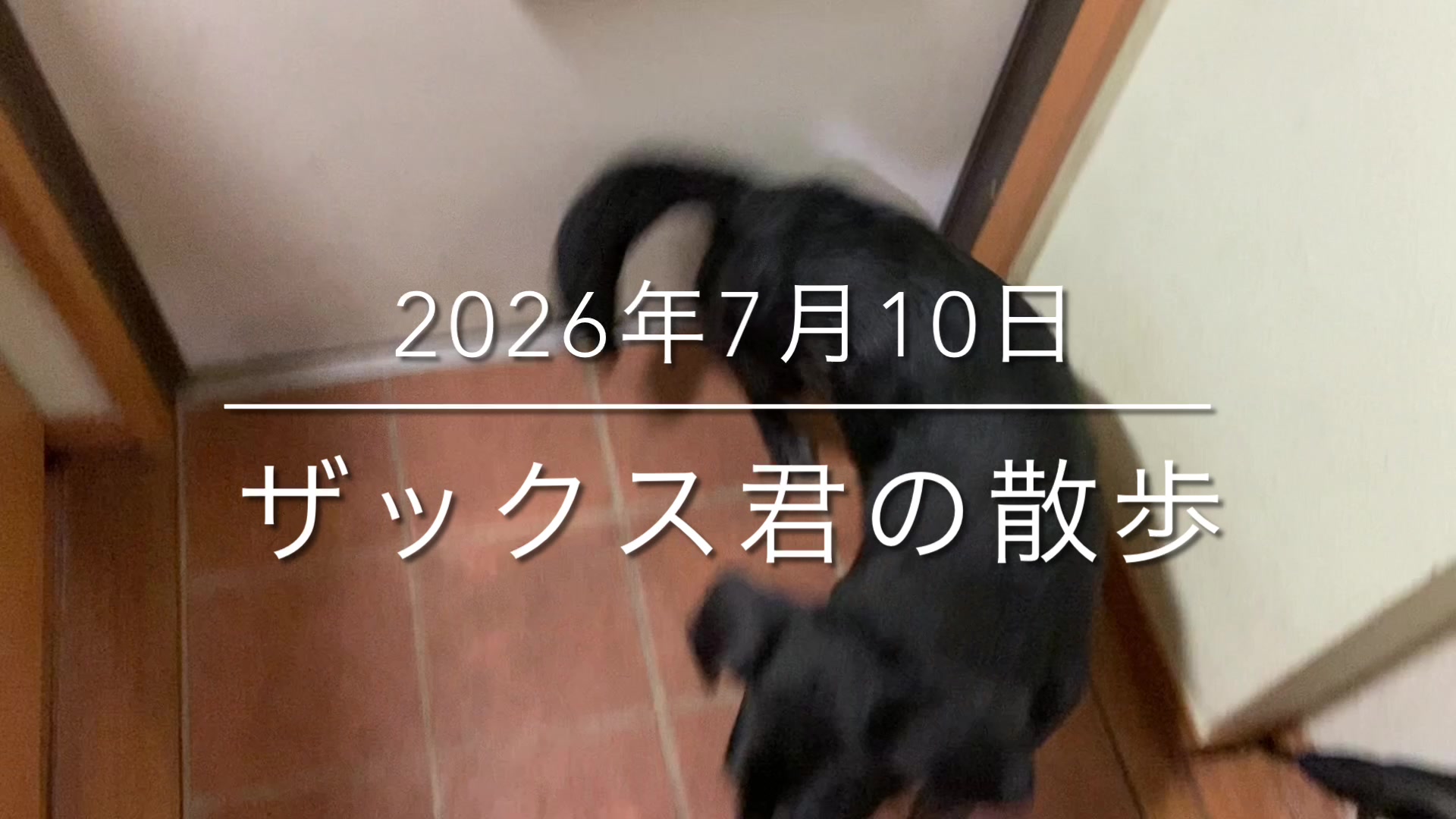 @sakihaman