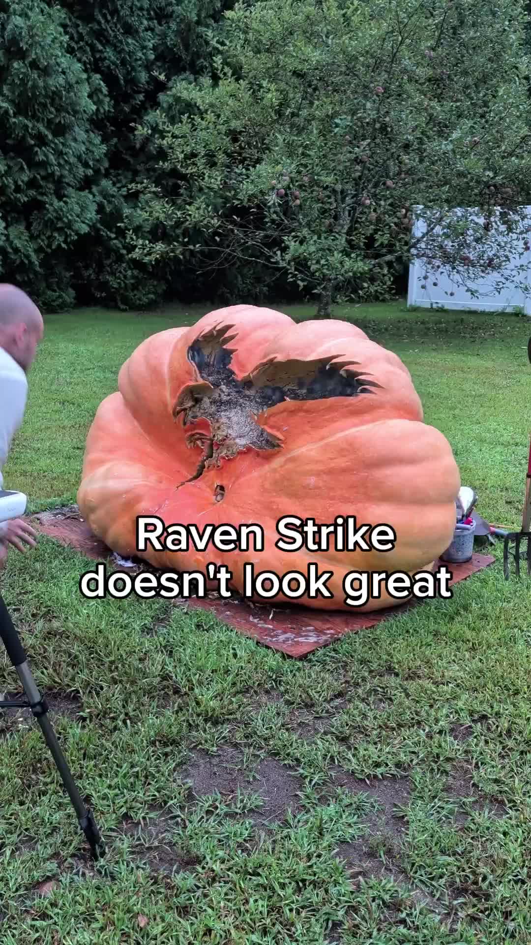 @bigpumpki