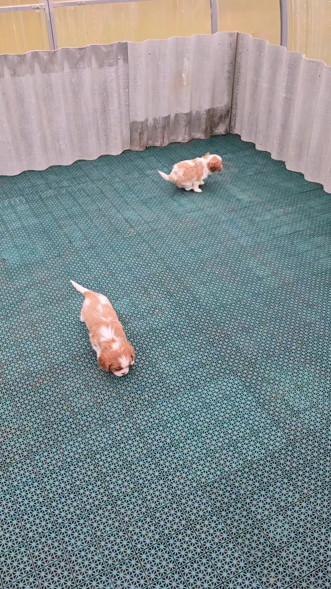 @Виктория