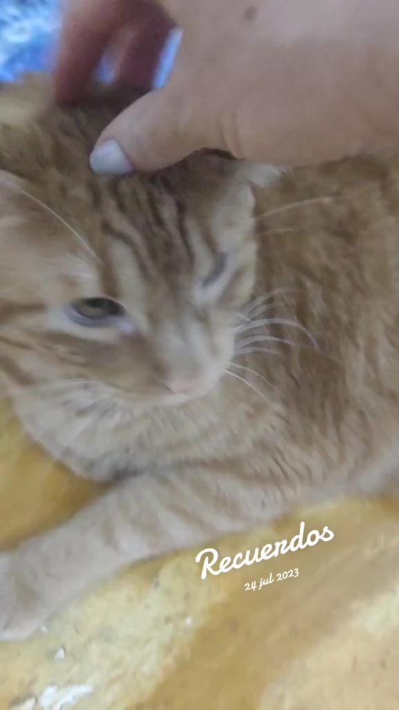 @😻 Estela 😻