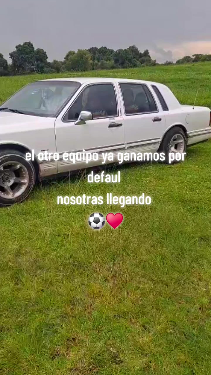 @sarai trejo