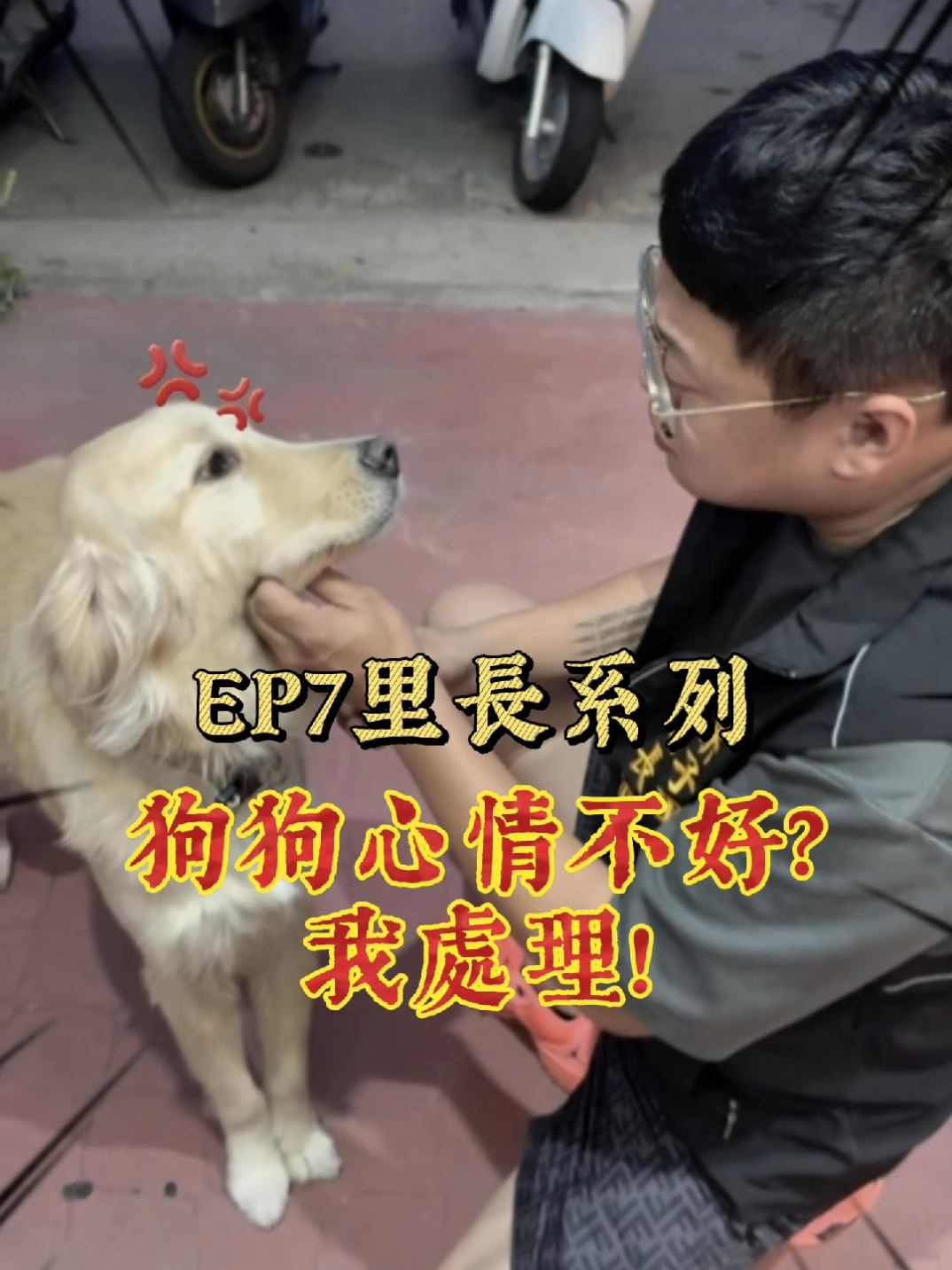 @鑫富閣 高進