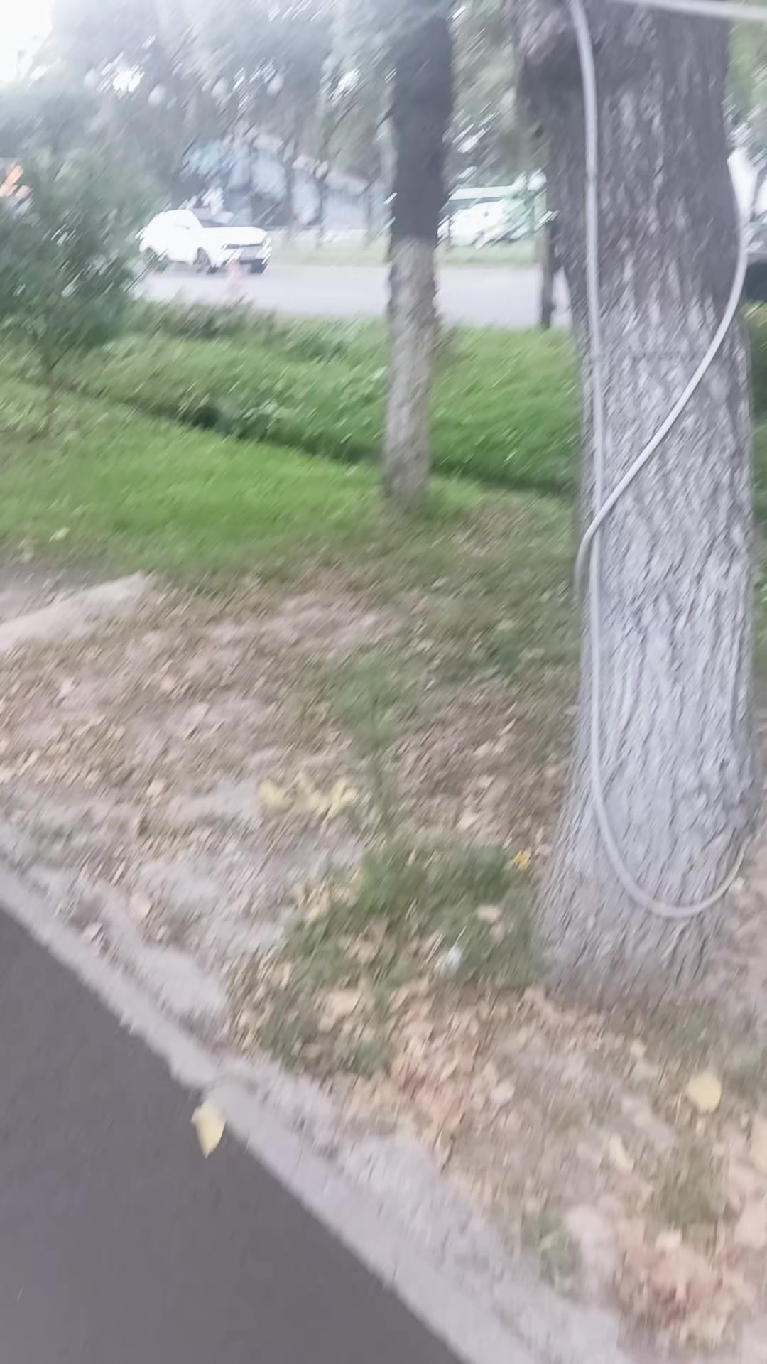@Аллах все видит