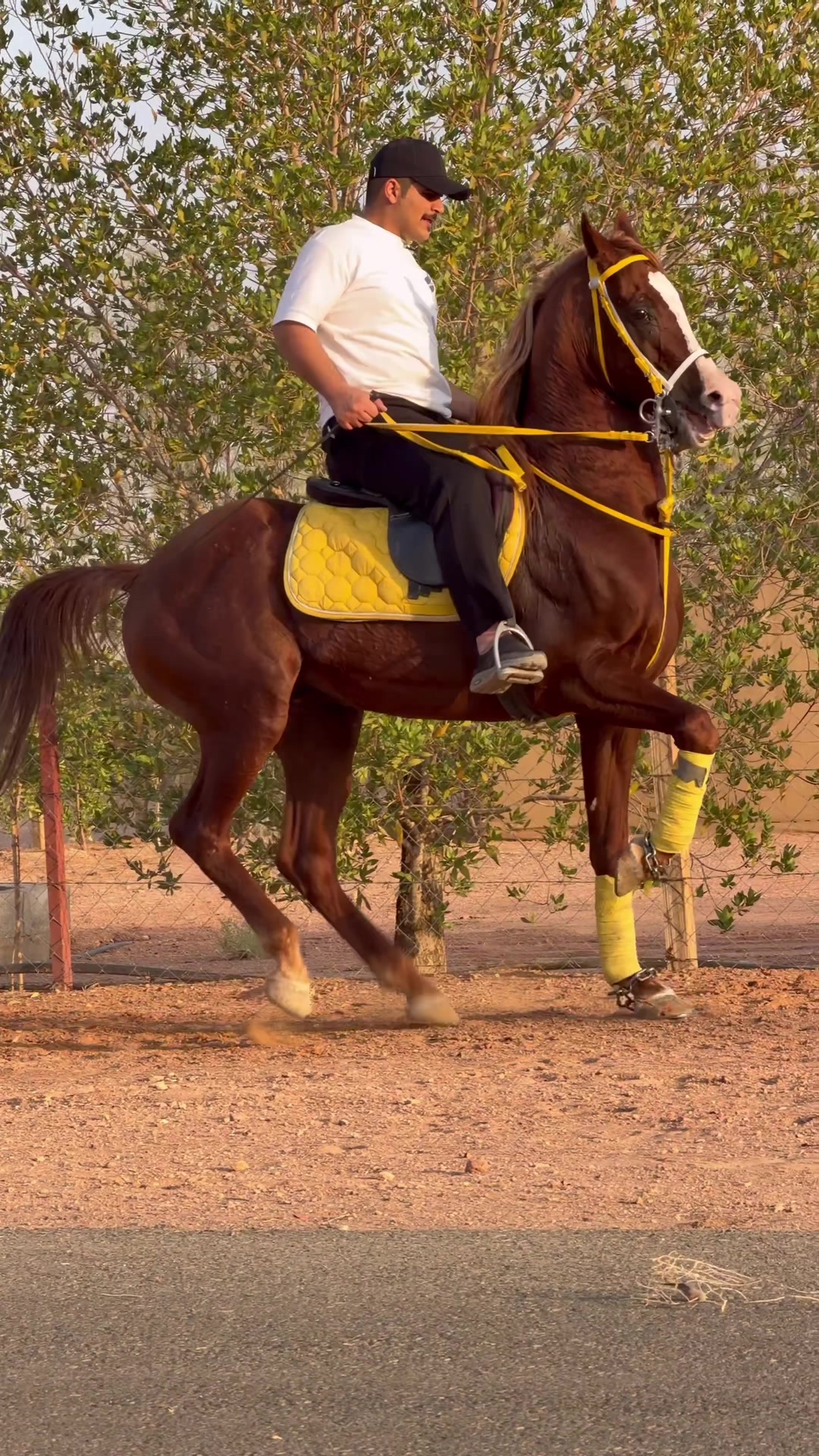 @ثاني الشمري 🎠