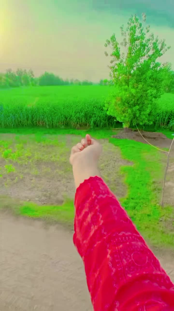 @Maryam jatti❤❤
