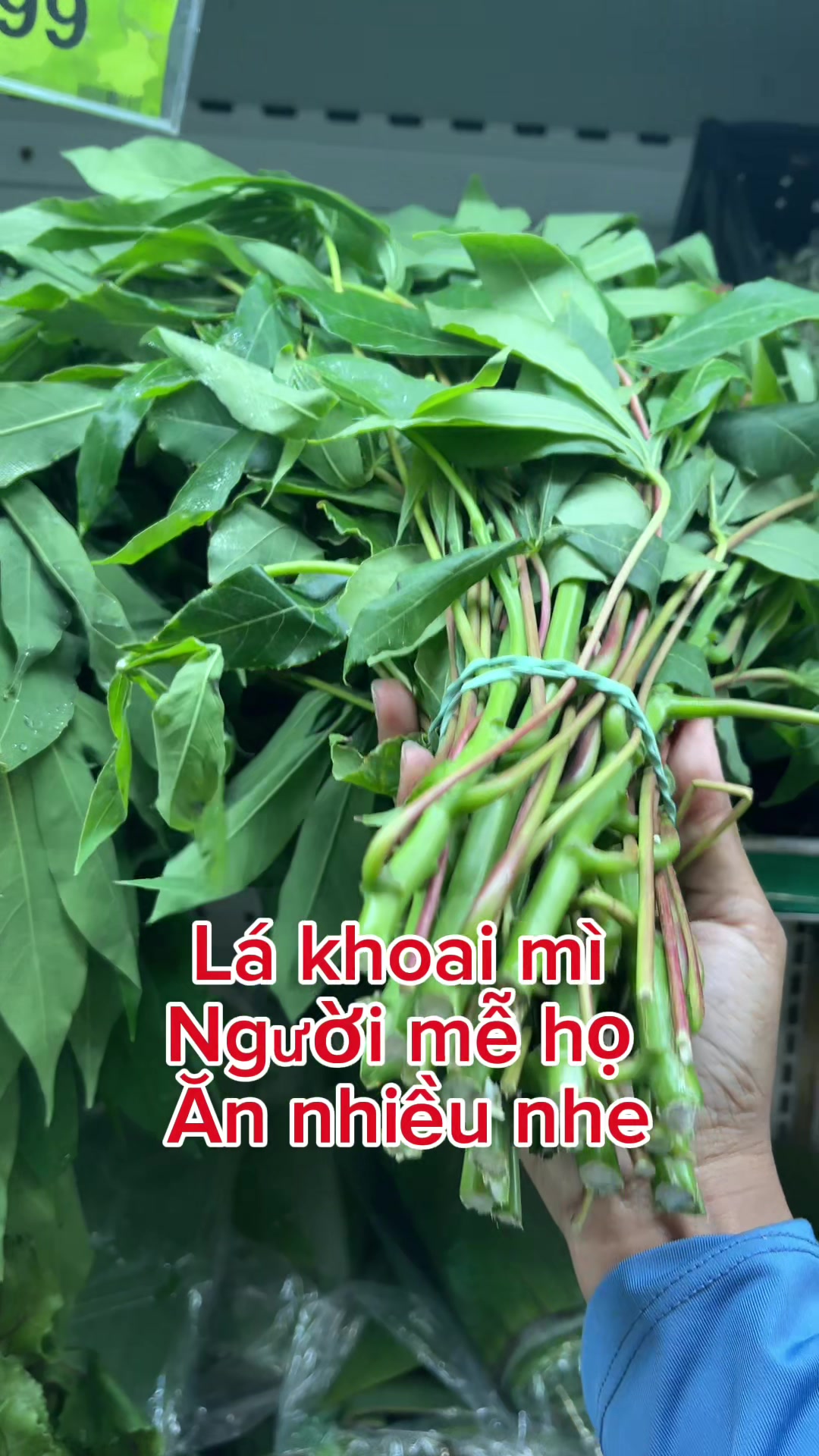 @Đi & Go