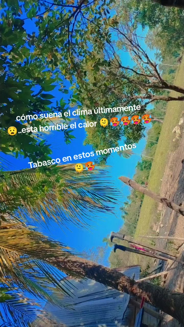 @🍒🍒tu morenita Olan 🥰🥰🥰