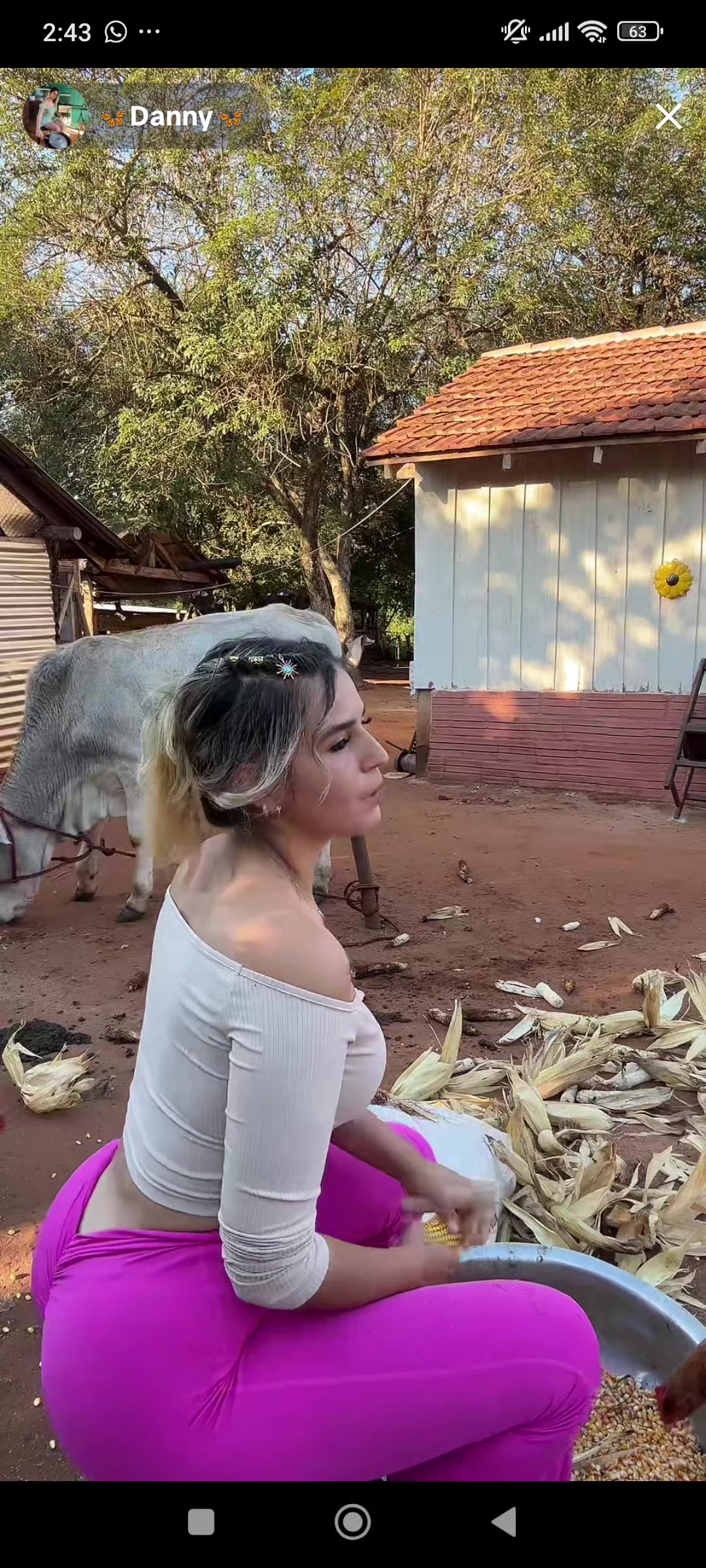 @estelar