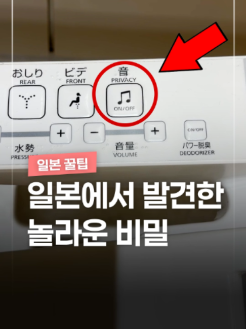 @짤컷