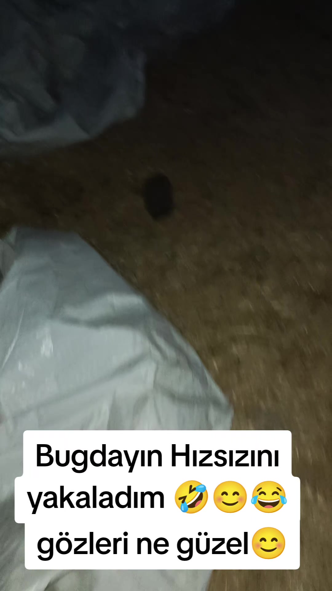 @yılmaz &Ccedil;etinkaya