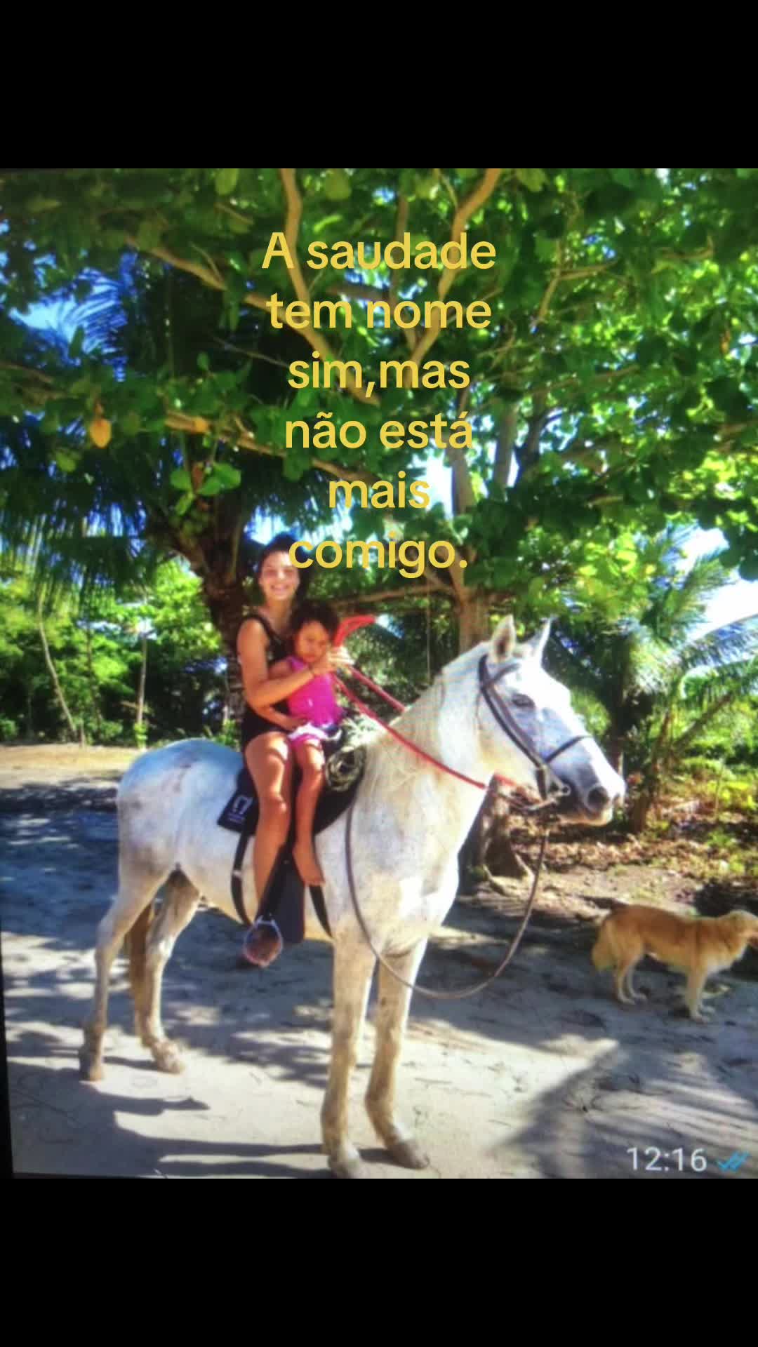 @Pᥱ́r᥆ᥣᥲ ᥱ ᥴᥲριtᥲ̃᥆