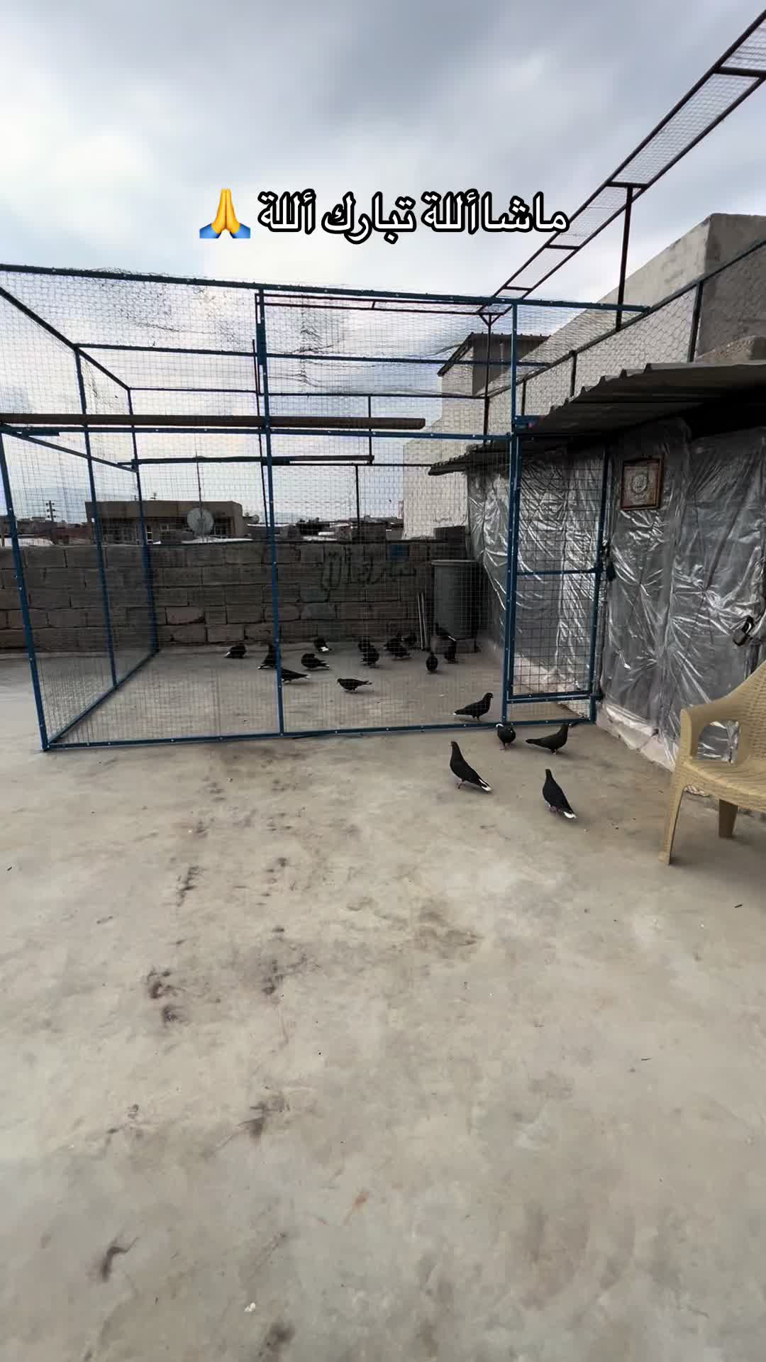 @بادينان فاو