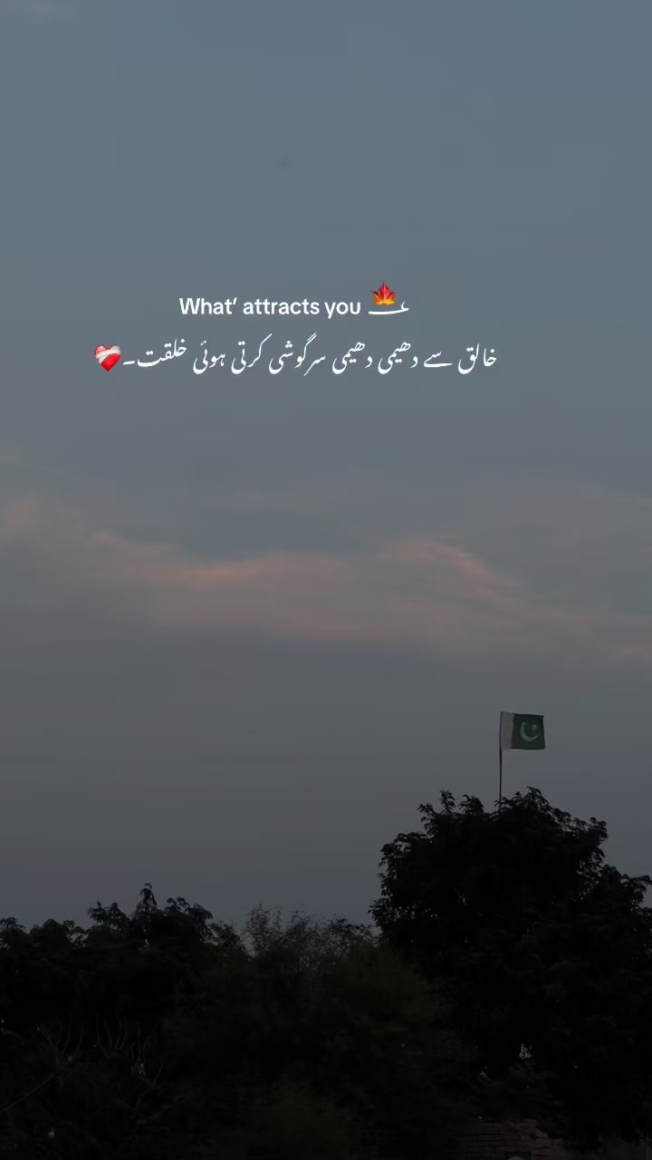 @🌸~
