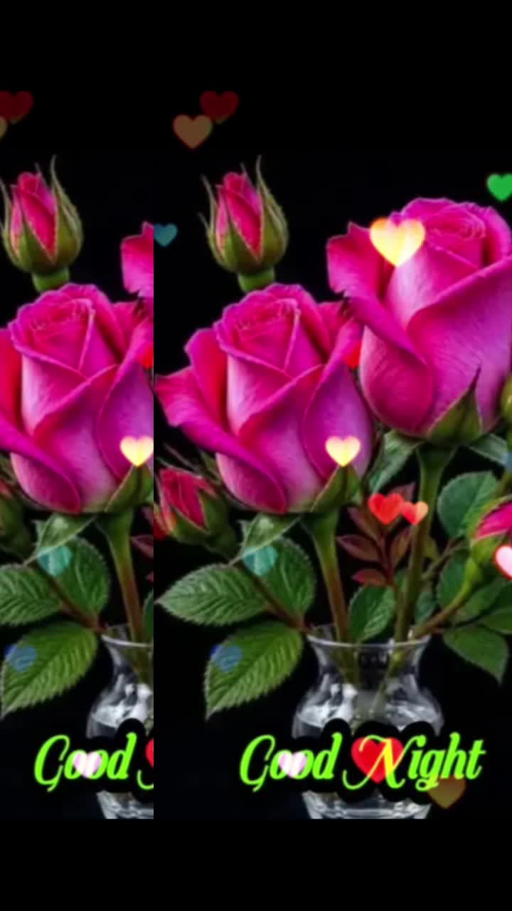 @Sai Meena
