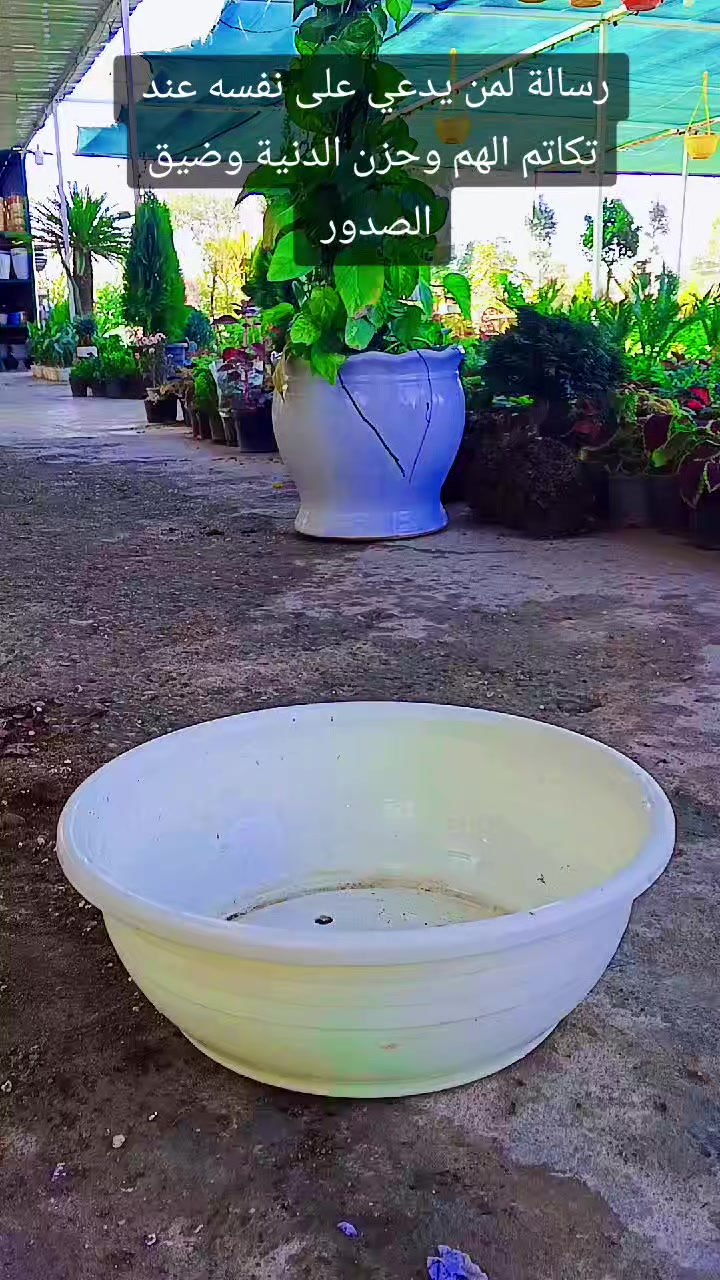 @🍂گوردسـتآنيـﮯ✨ عمـر 🌺