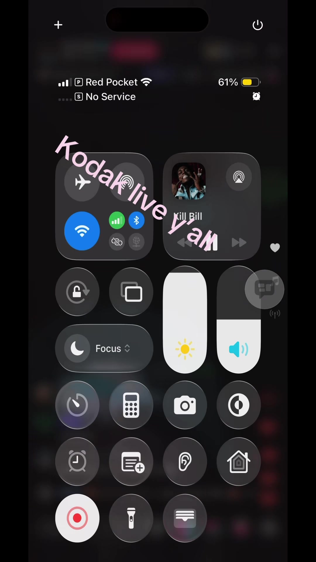 @KingPink ☕️
