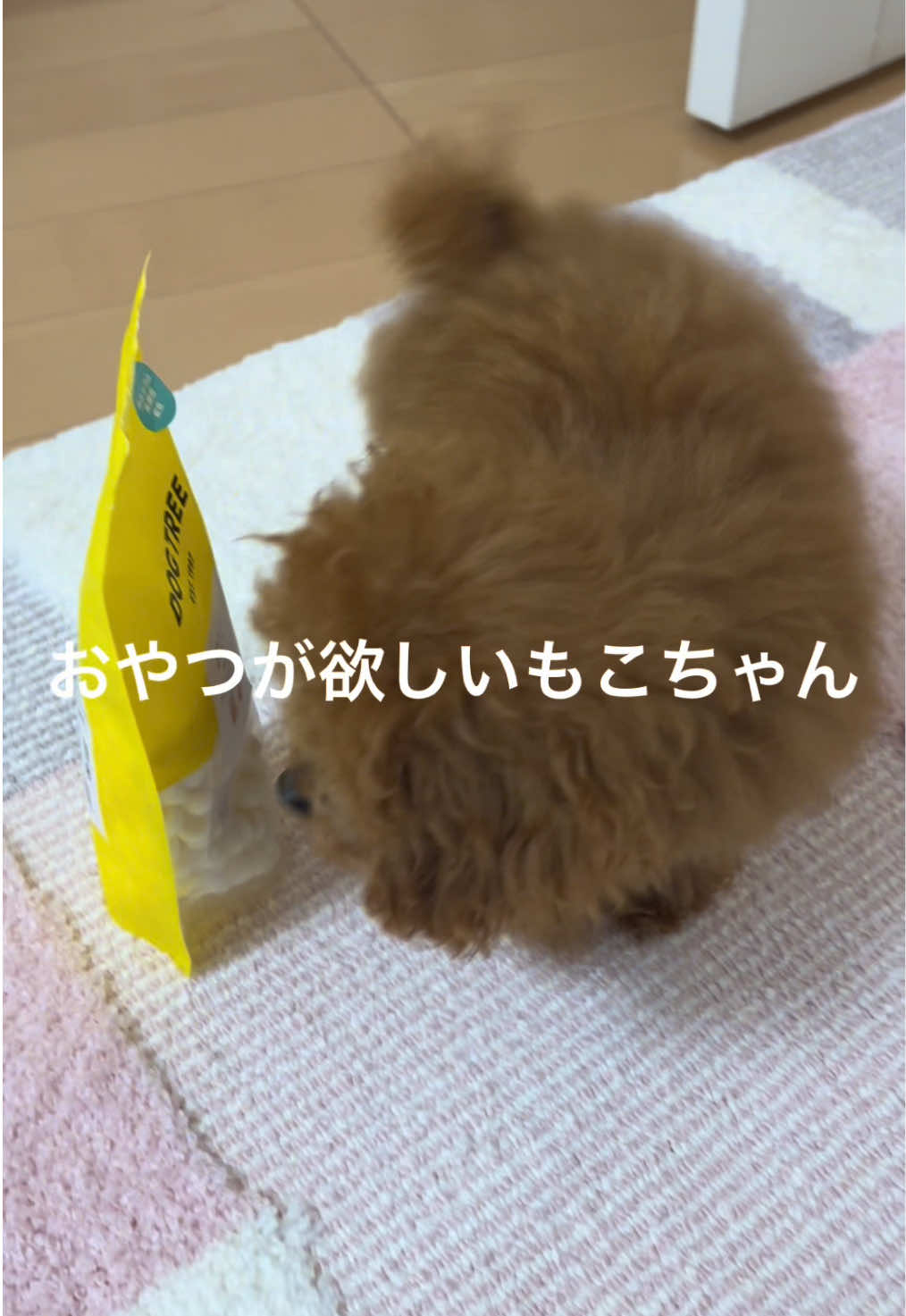@もこ