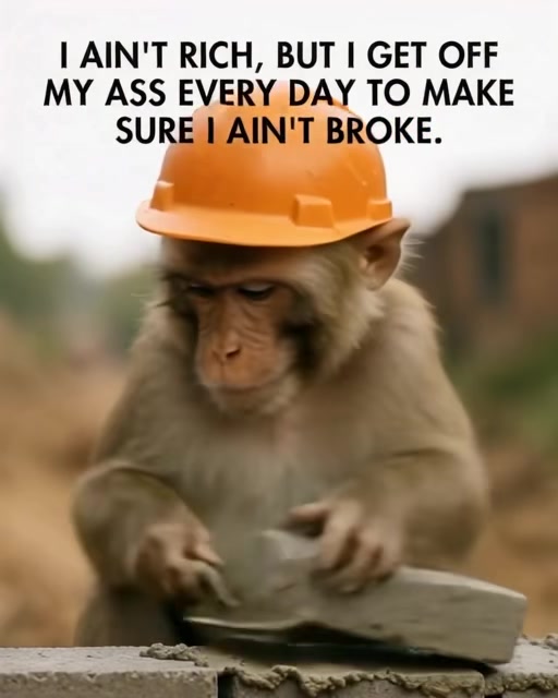 @JACK