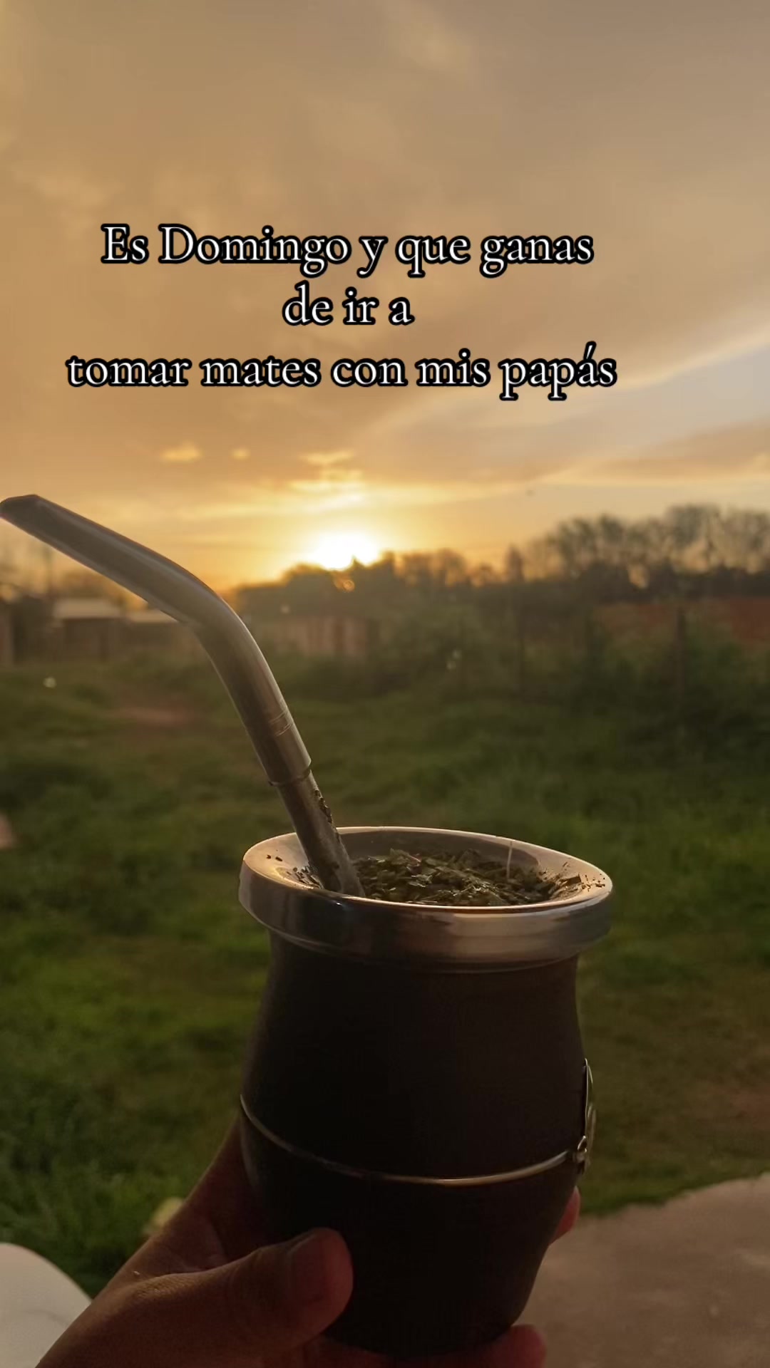 @mili Duarte