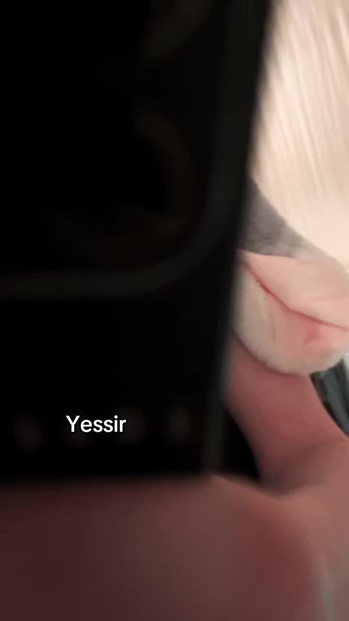 @Pure