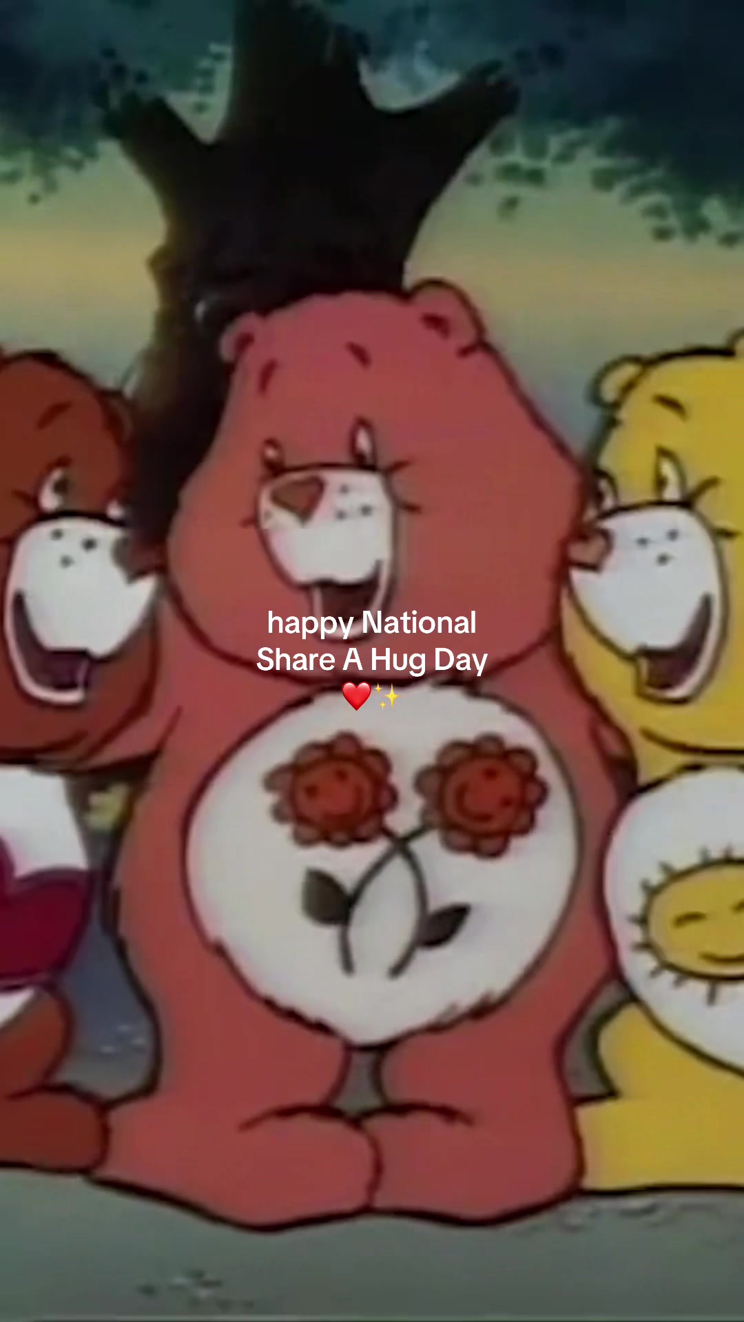 @Care Bears™