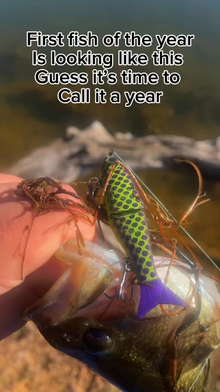 @DTFishin