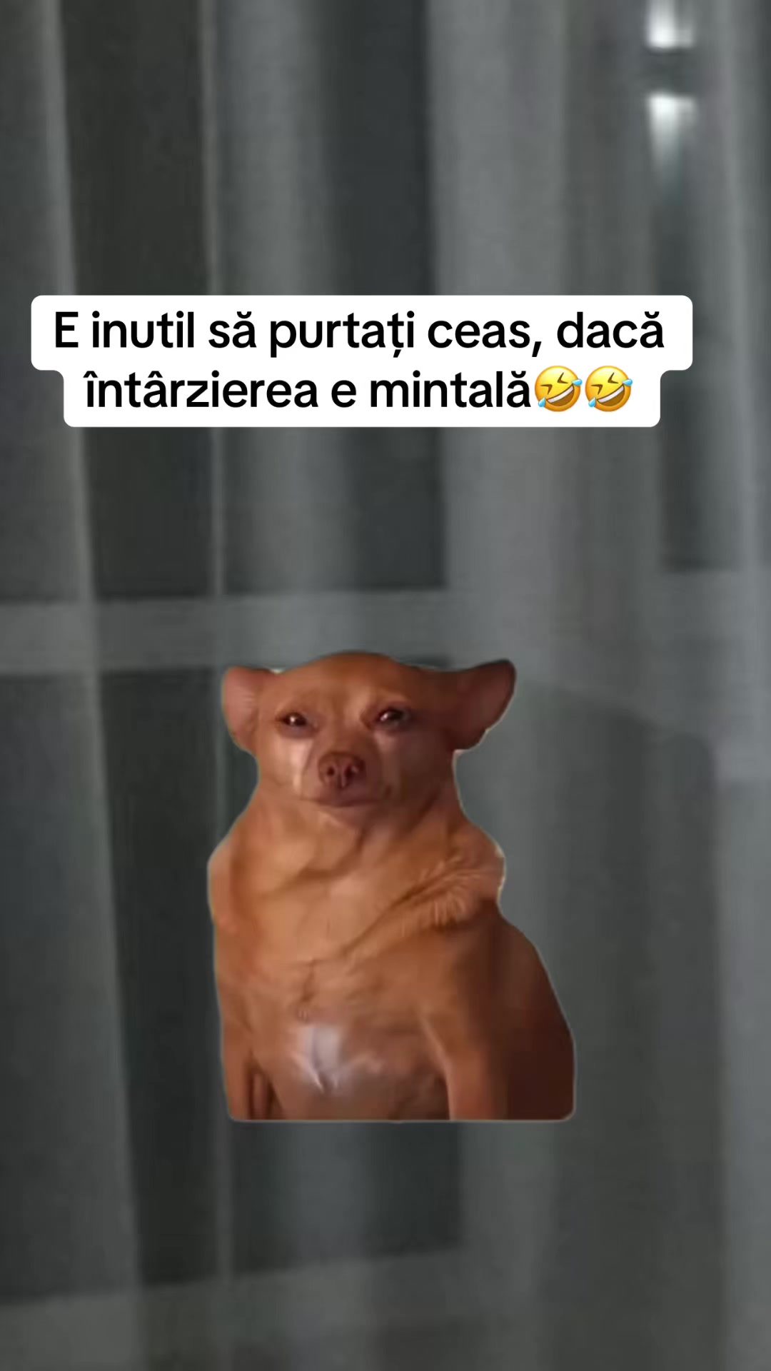 @*ð¢ðªð«ð»ðð€ð²ð©