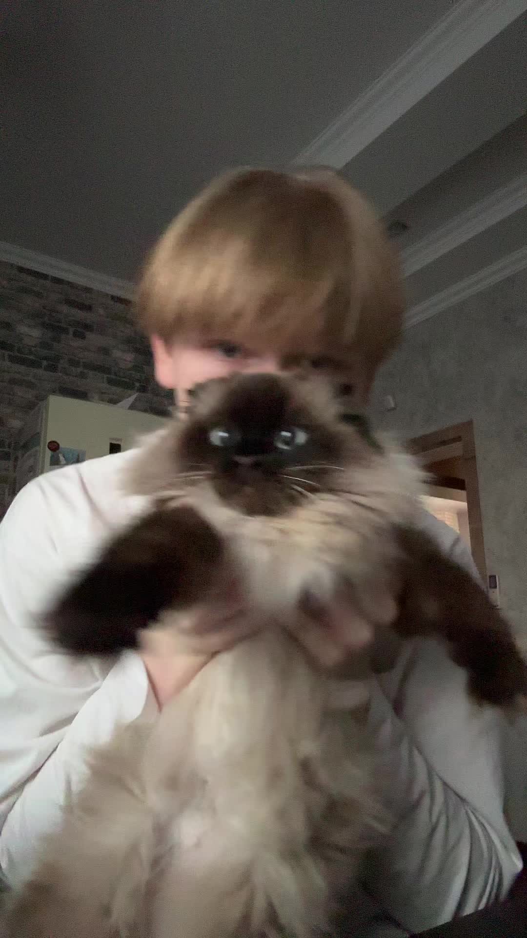 @санштайн