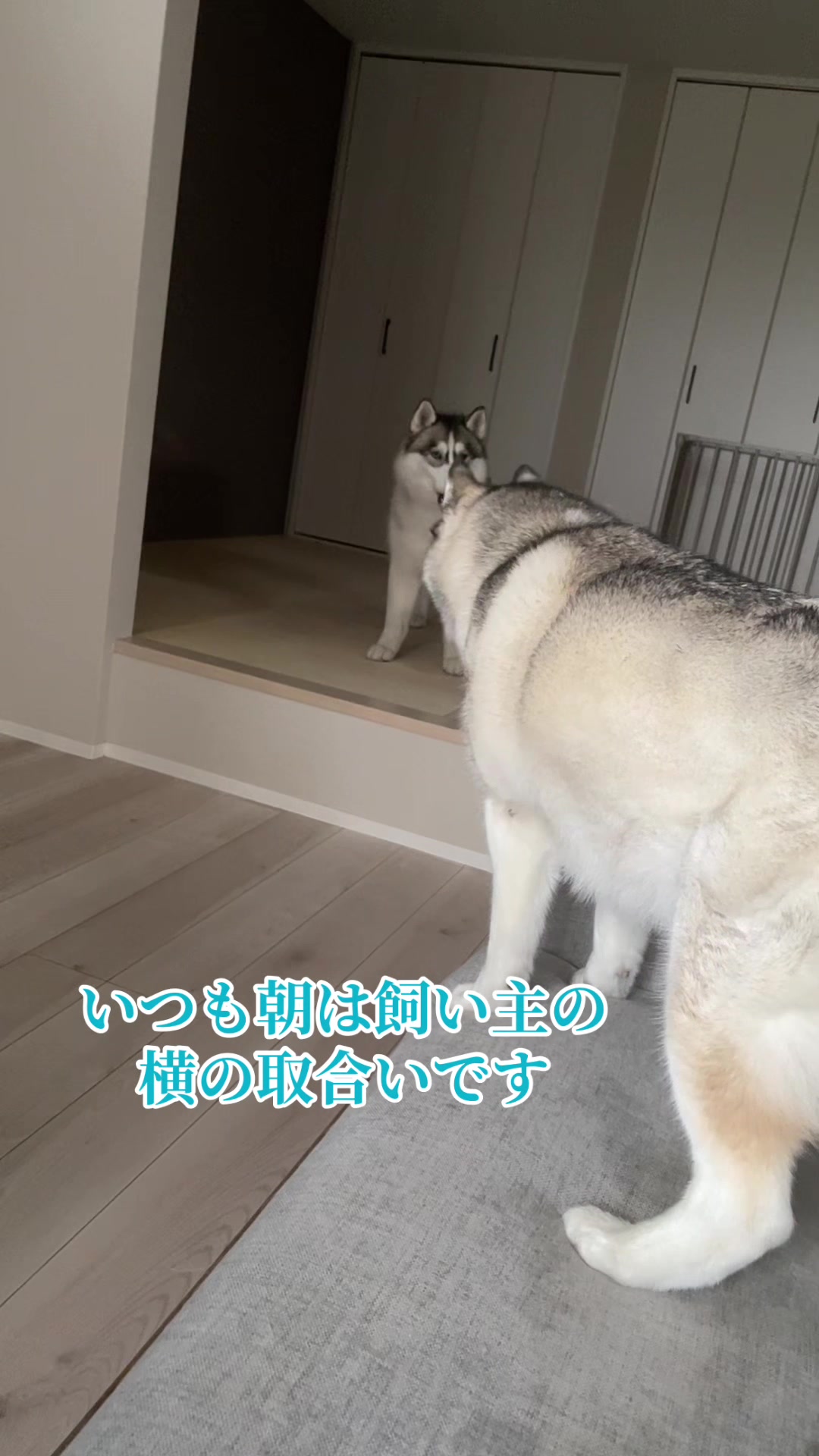 @サン☀️とムーン🌙