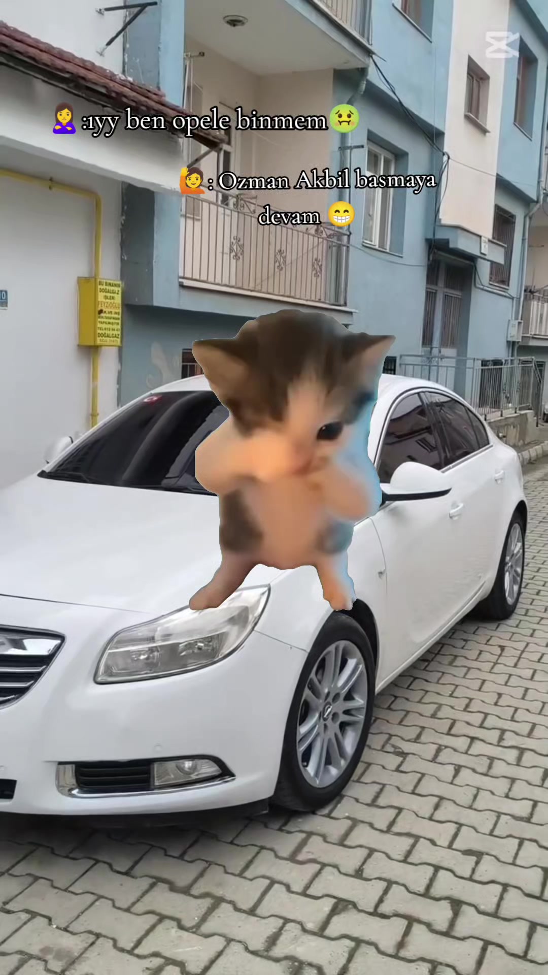 @Ali Usludil