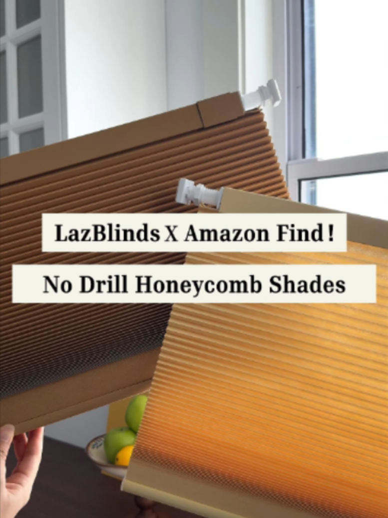 @LazBlinds
