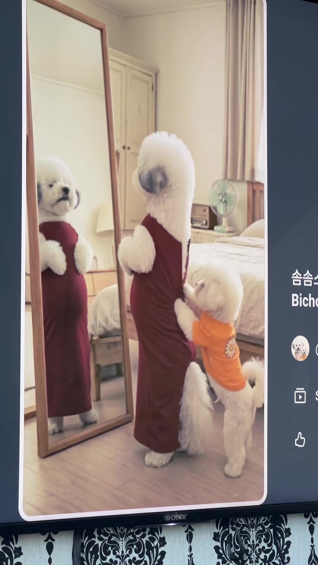 @Positivity ๐๐ฅฌ๐ฅฆ๐ถ๏ธ๐ฅ๐ฅ๐ซ๐ฅฏ