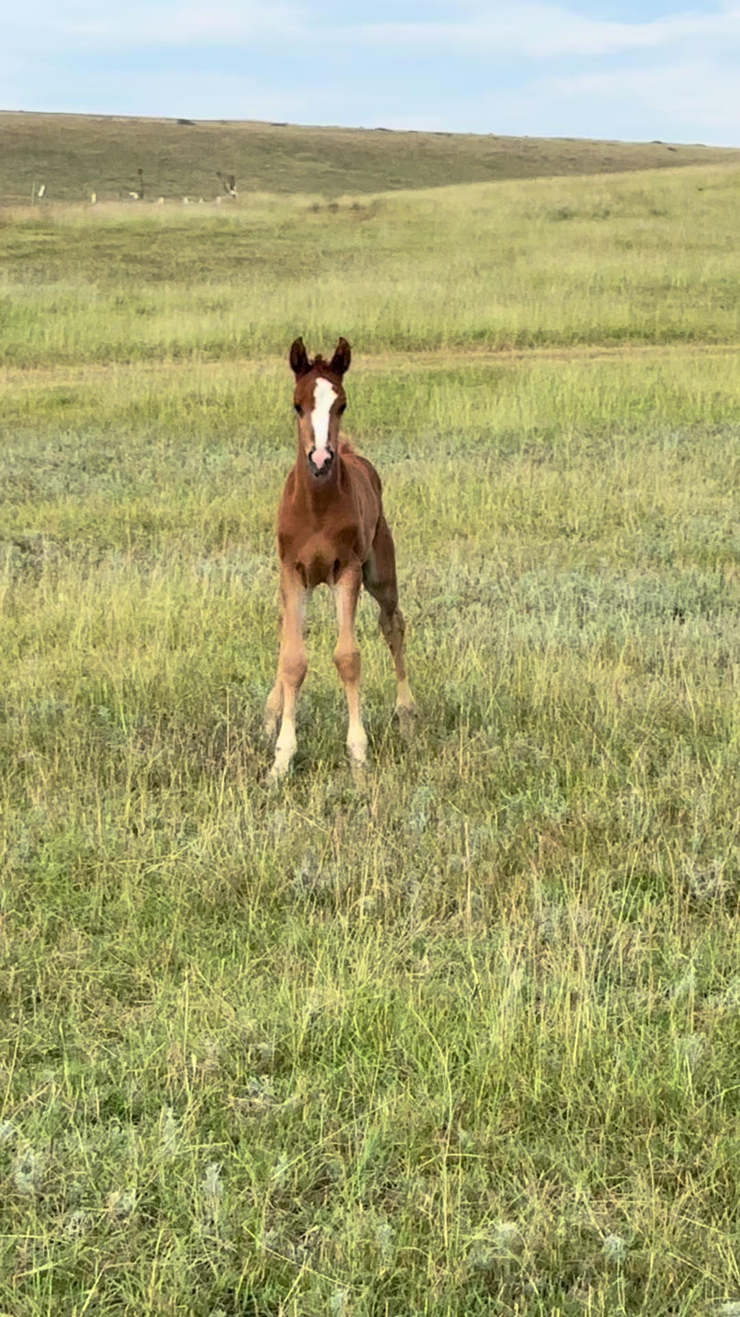 @MakvinStud
