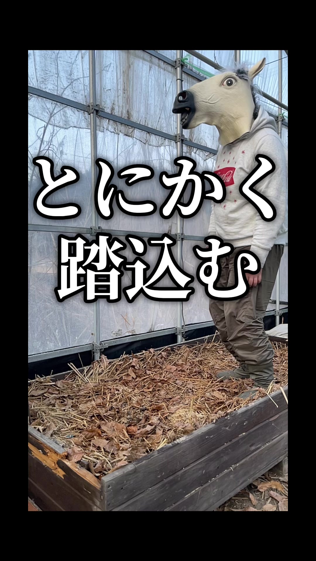 @美味しいトマトの研究所🍅🦌