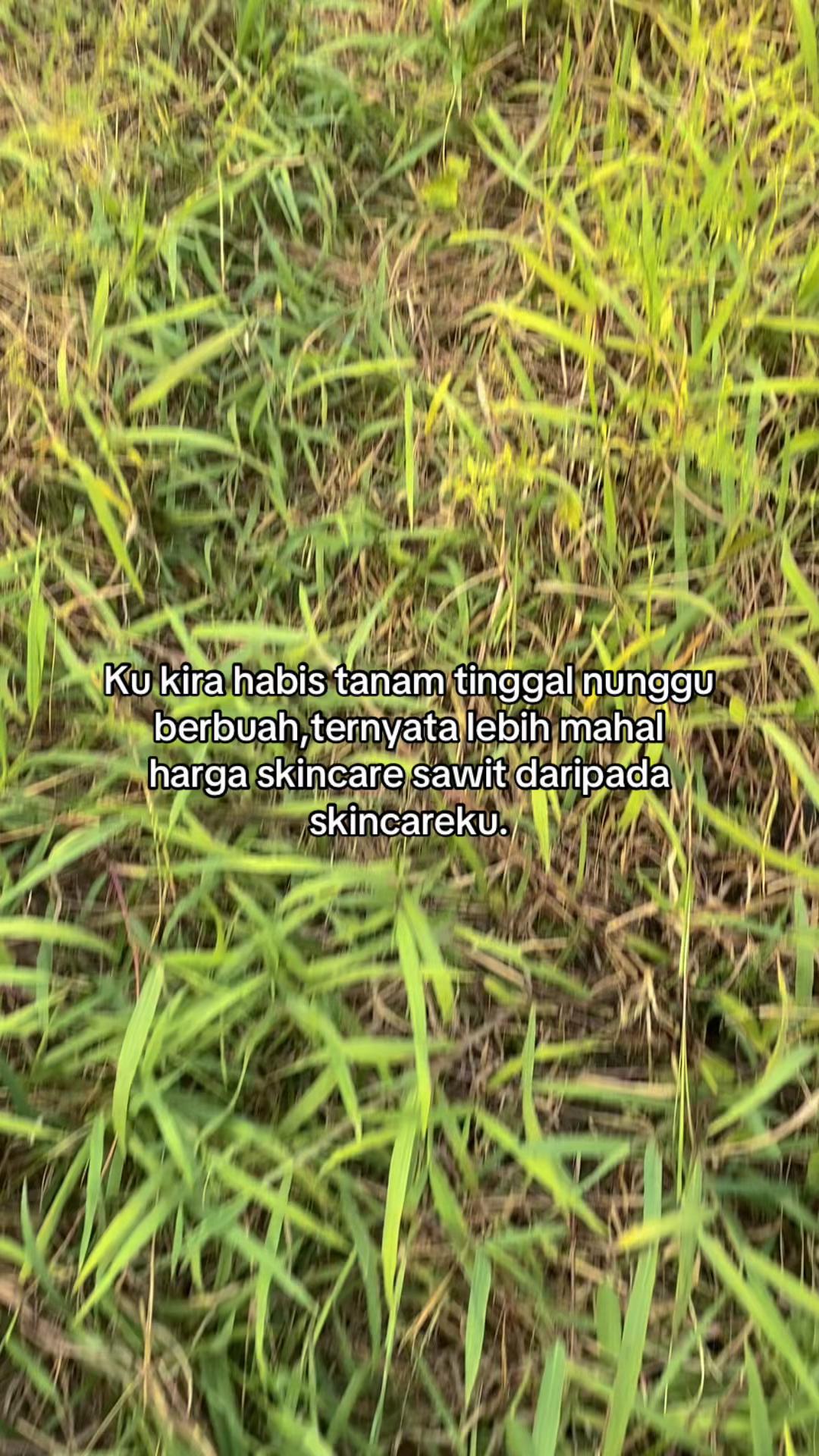 @SEMPAK KUNTILANAK 🩲