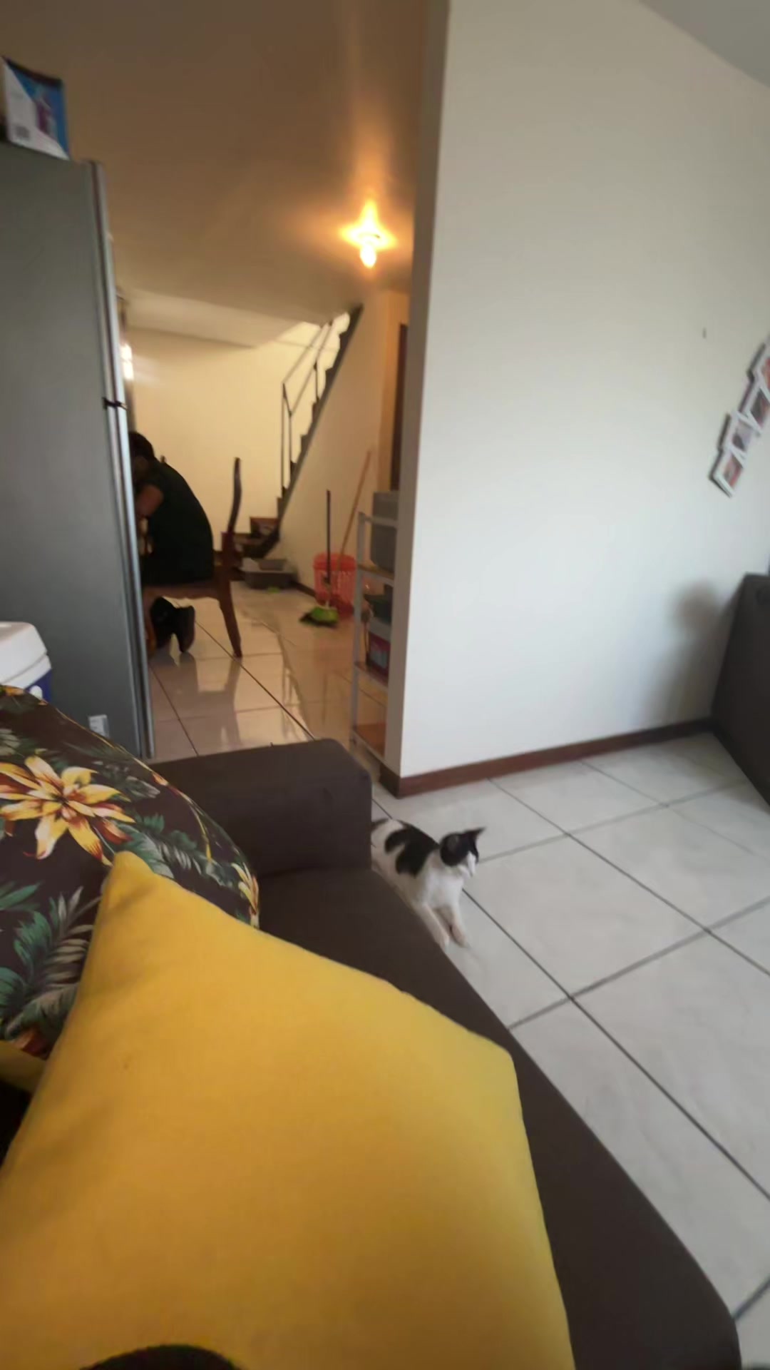 @Fofita