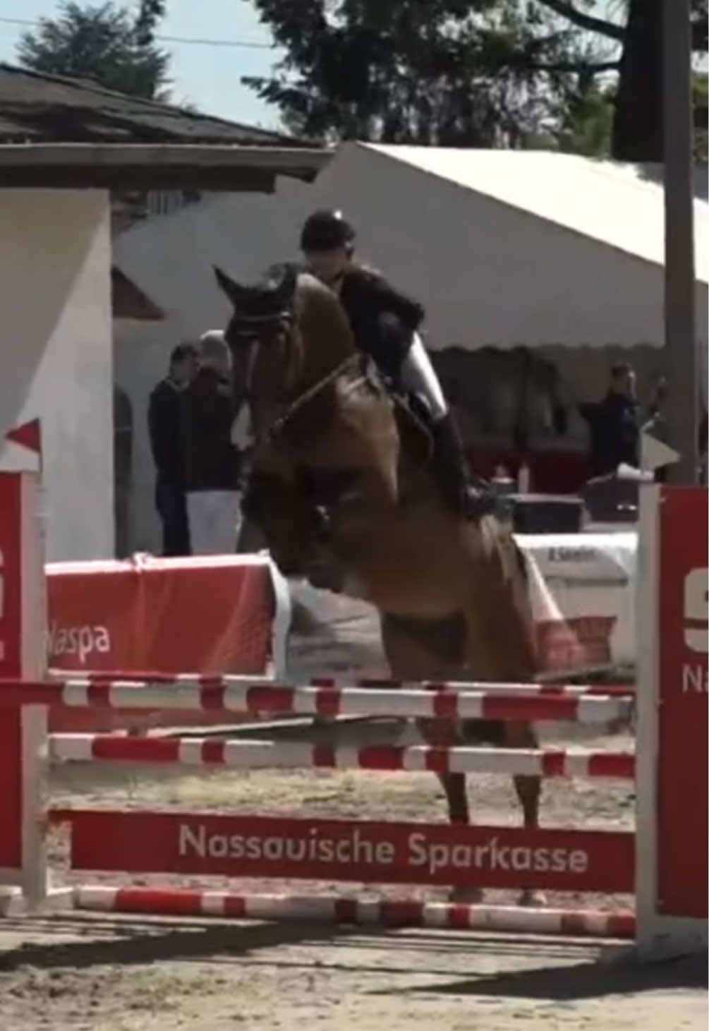 @La.Dolce.Horses